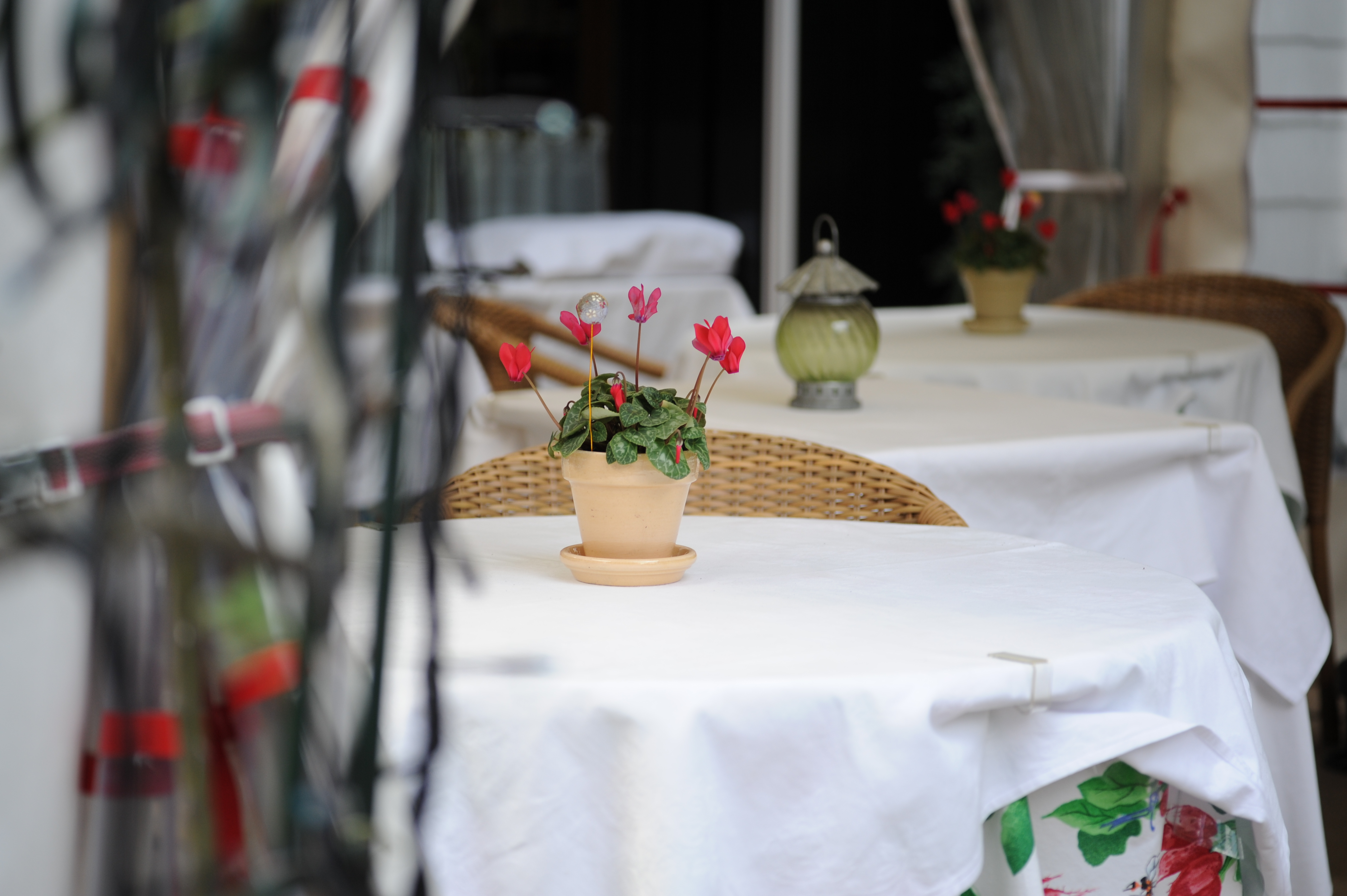 <b>D700 / APO-LANTHAR 90mm F3.5 SL II Close Focus / 約3.4MB / 4,256×2,832 / 1/320秒 / F3.5 / +0.7EV / ISO400 / WB:オート</b>