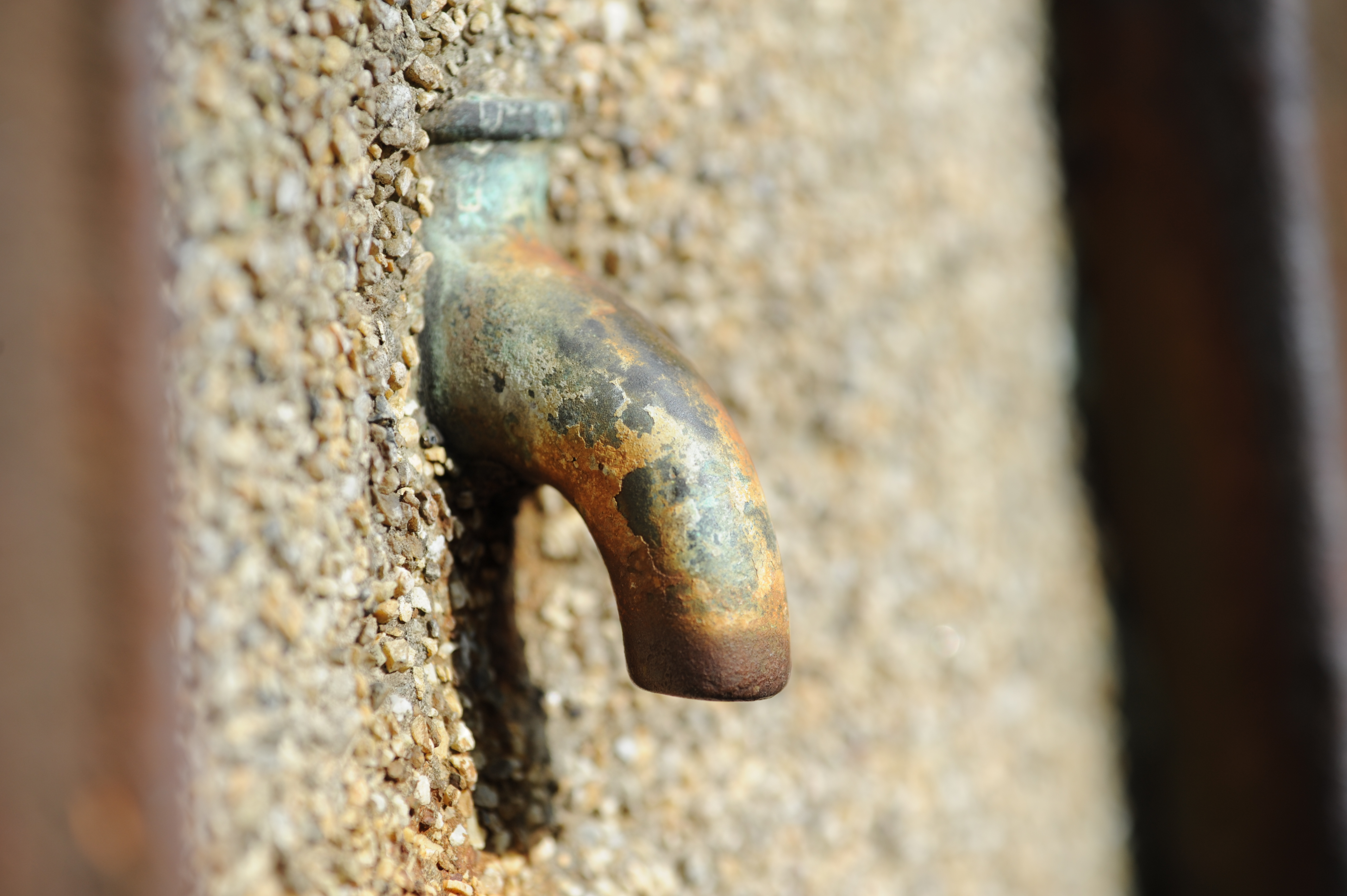 <b>D700 / APO-LANTHAR 90mm F3.5 SL II Close Focus / 約3.5MB / 4,256×2,832 / 1/320秒 / F5.6 / -0.3EV / ISO200 / WB:オート（クローズアップレンズを到着）</b>