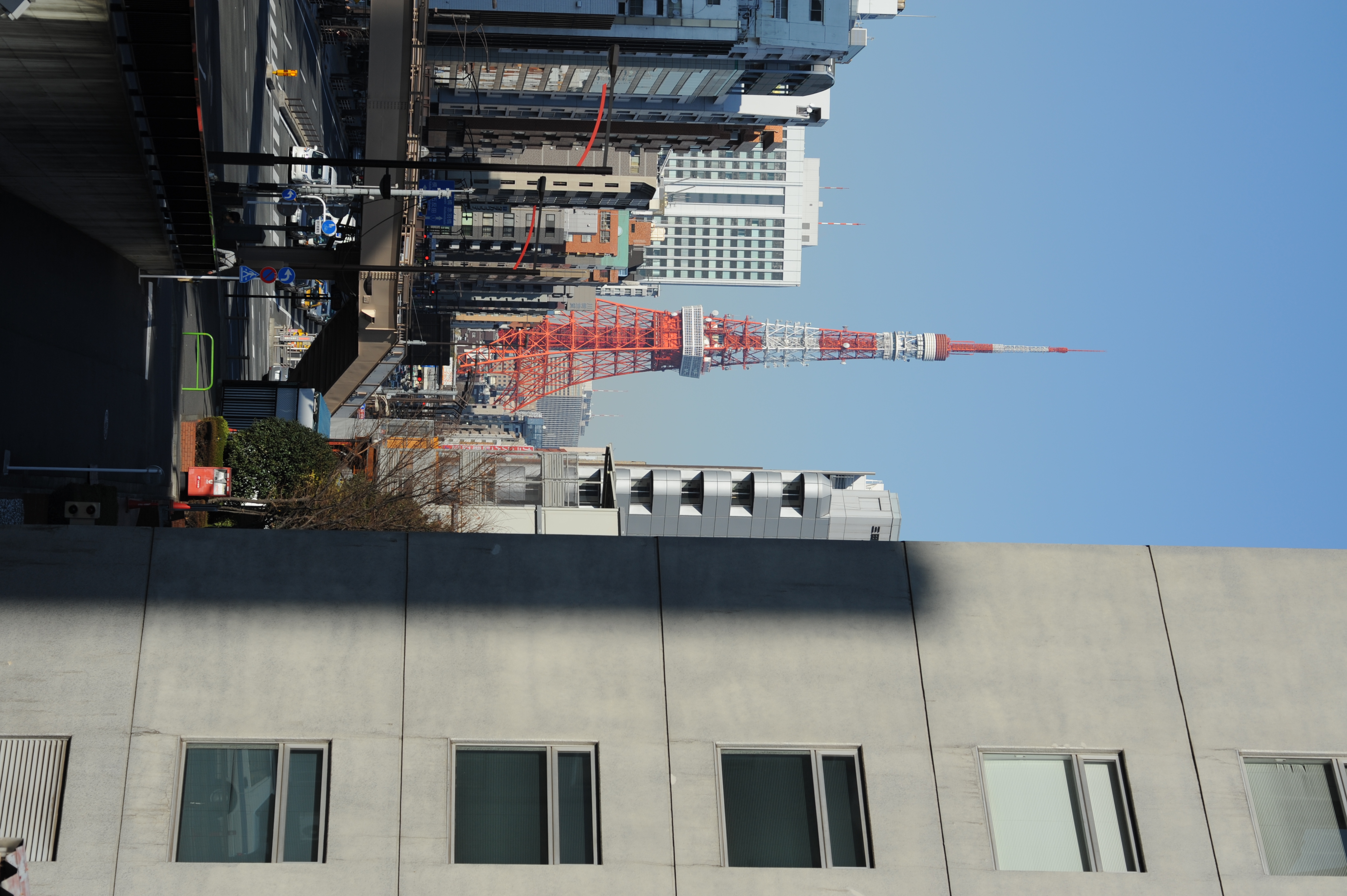 <b>D700 / APO-LANTHAR 90mm F3.5 SL II Close Focus / 約4.5MB / 2,832×4,256 / 1/1,000秒 / F8 / -1EV /ISO200 / WB:オート</b>