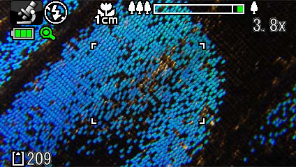 <b>デジタル顕微鏡モード（インテリジェントズーム望遠端）</b>