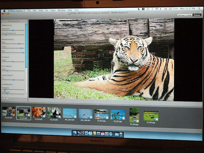 <b>Processモード画面</b>