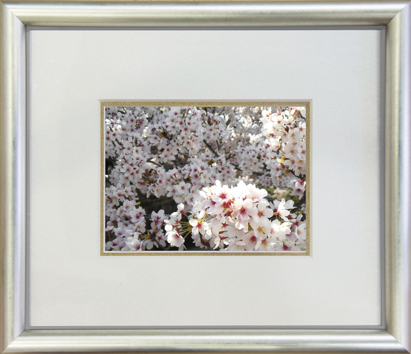 <b>中枠「金」仕上げ</b>