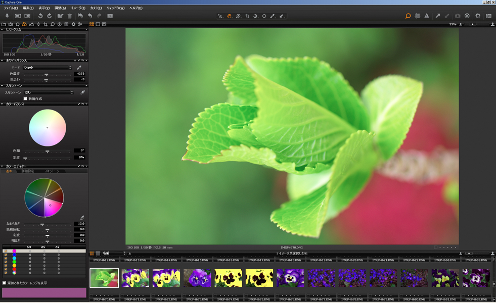 <b>Capture One 5 PRO</b>