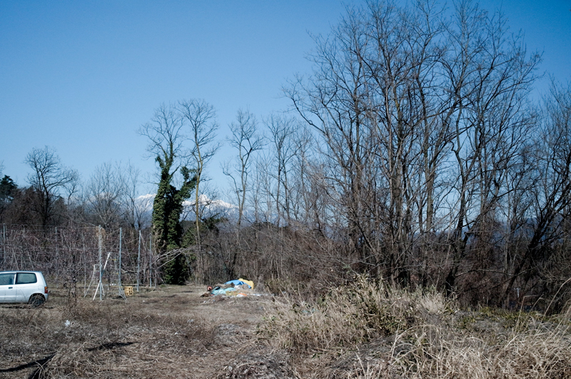 GXR+GR LENS A12 50mm F2.5 MACRO