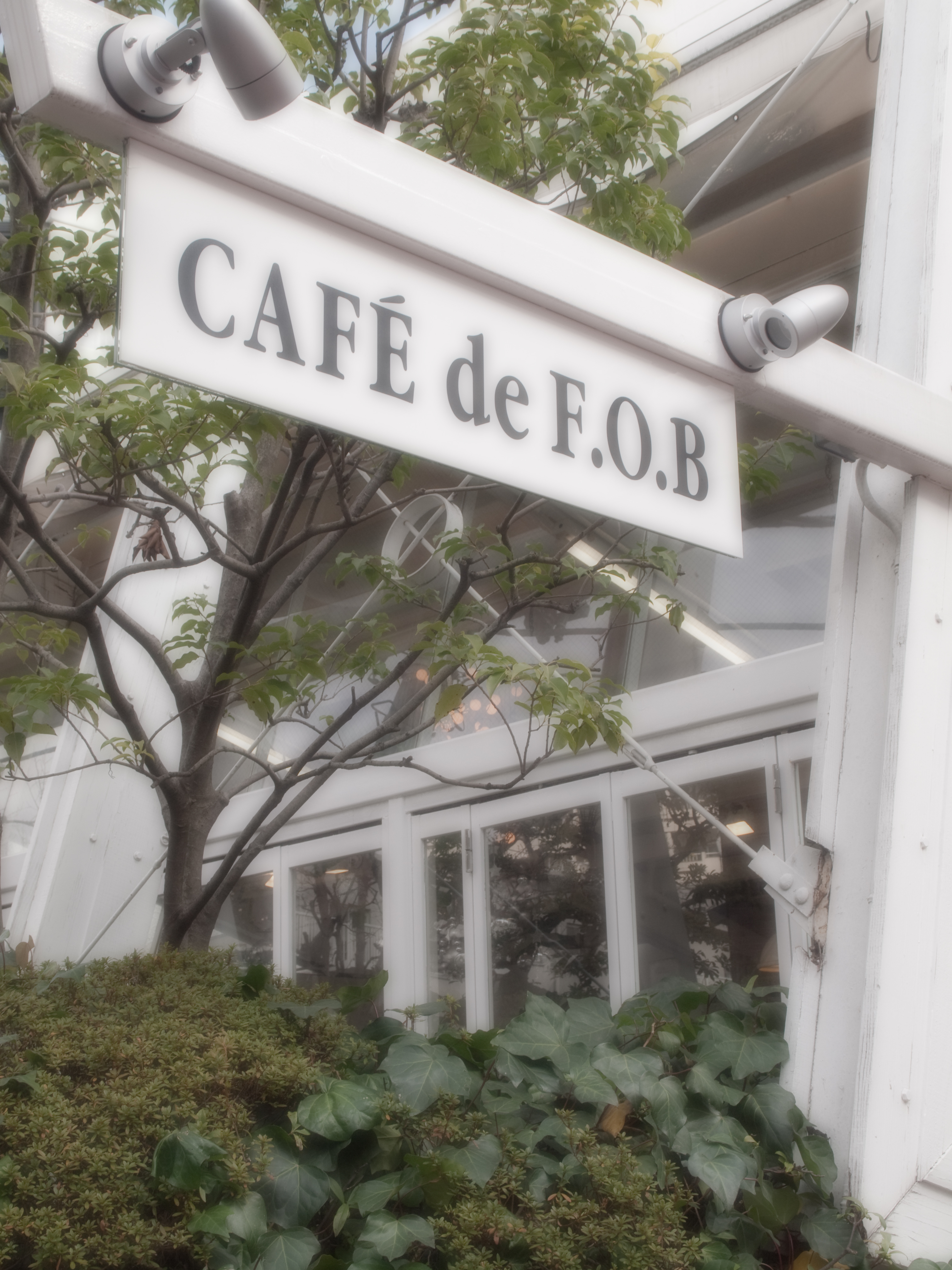 <b>こちらは「ぼかし」後の状態</b>