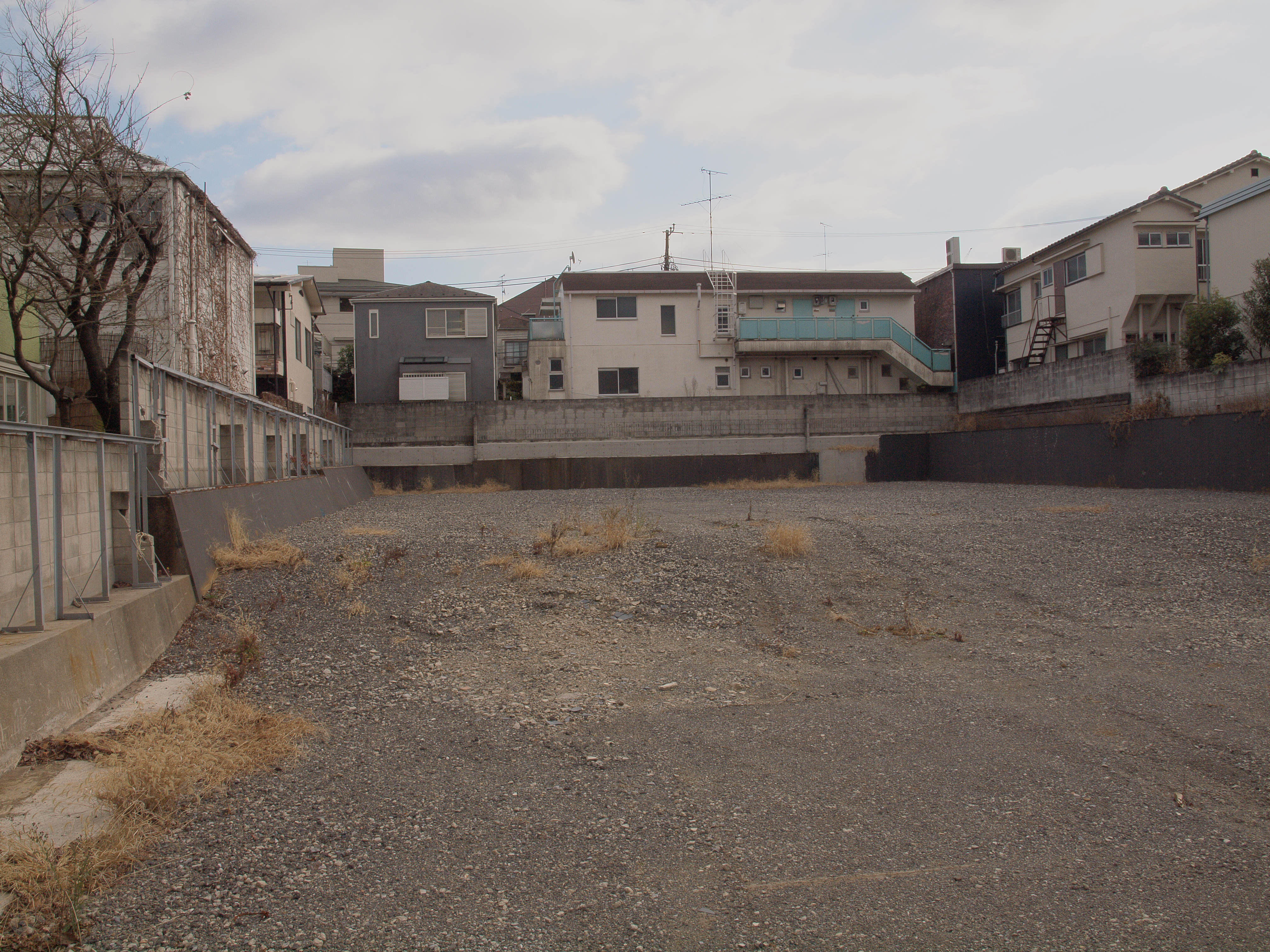 <b>ライトトーンで撮ったオリジナルのJPEG画像</b>