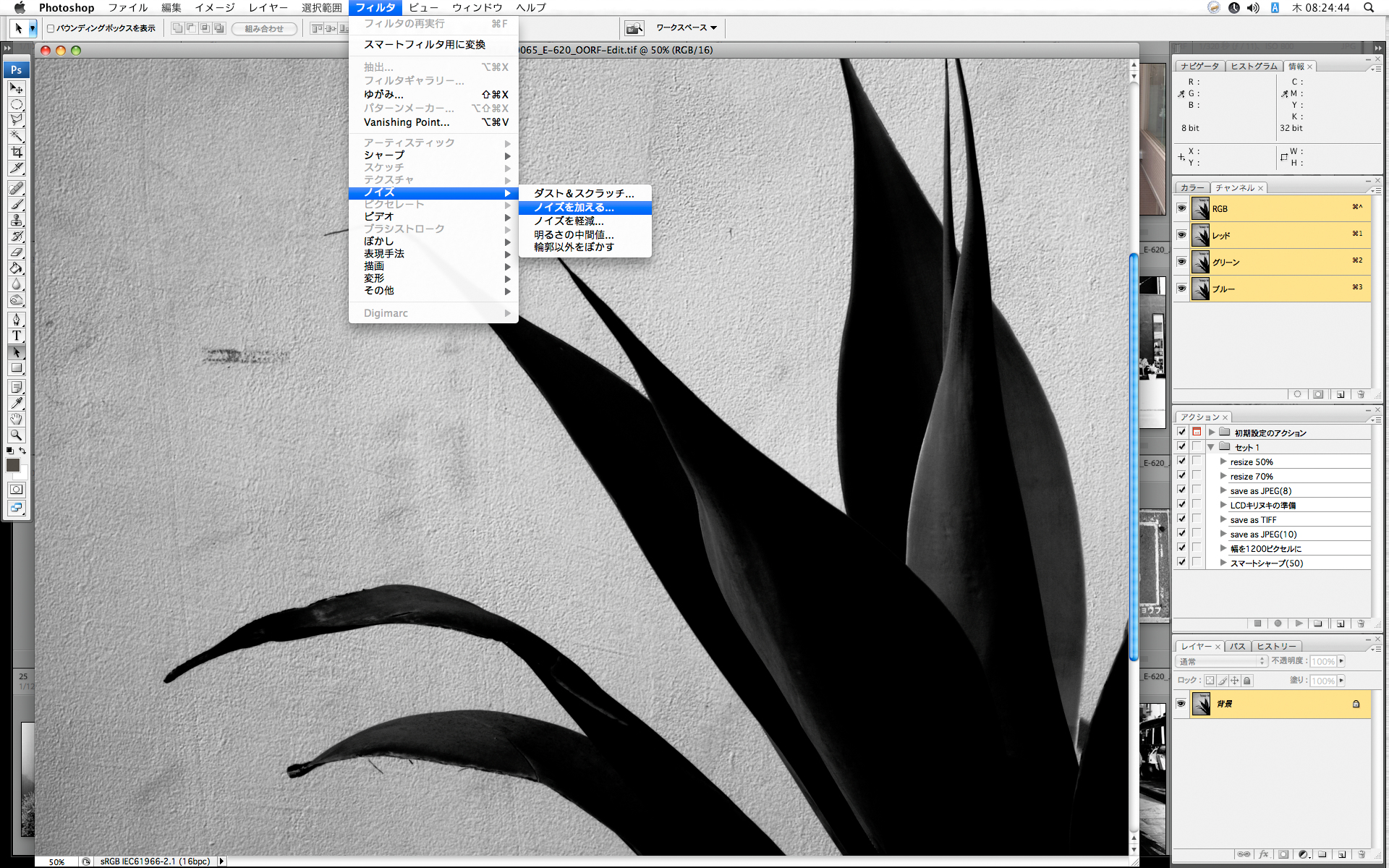 <b>Photoshopで「ノイズを加える」</b>