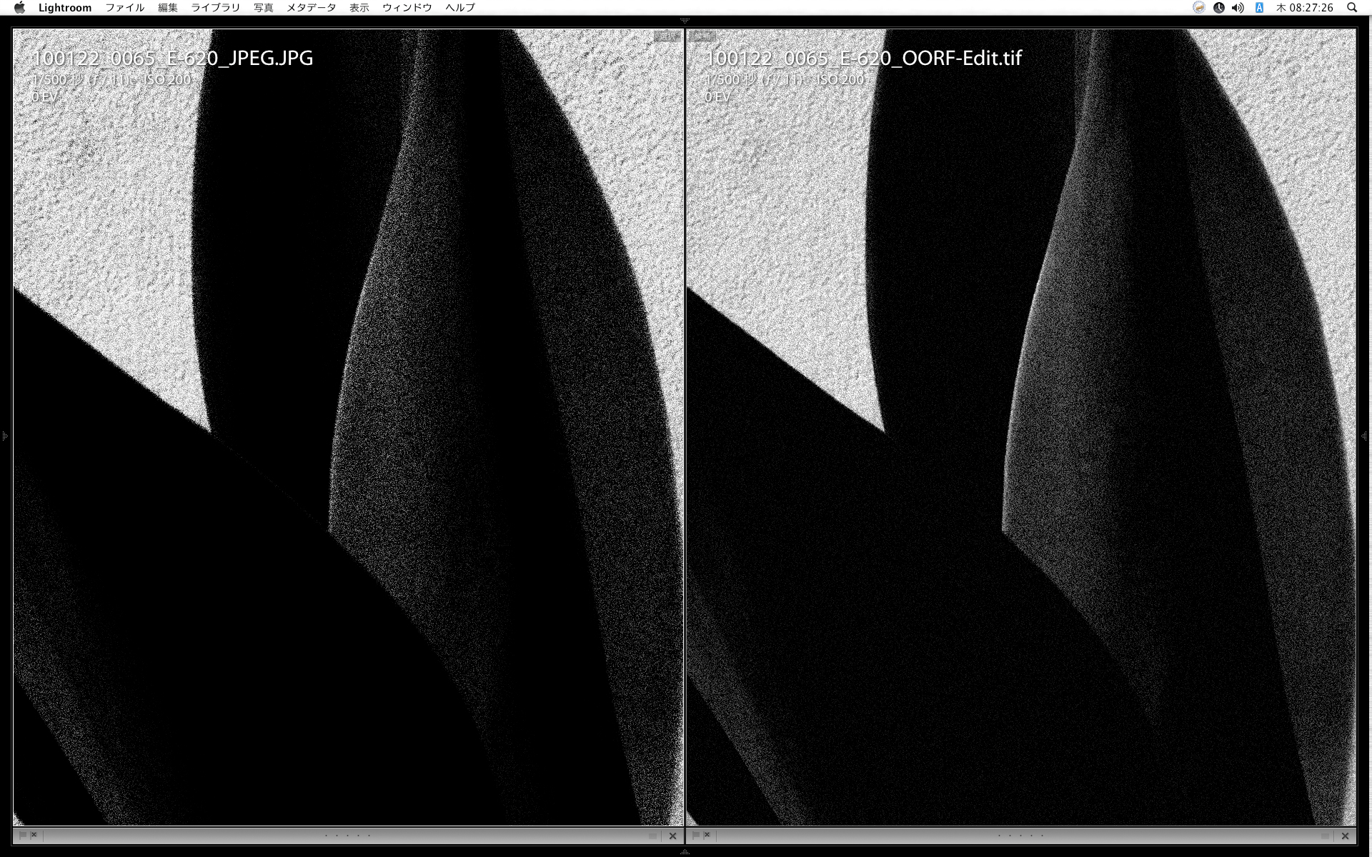 <b>でも、ピクセル等倍で見ると、ノイズの感じが全然違うPhotoshopのは粒が細かすぎて、効果として物足りない</b>