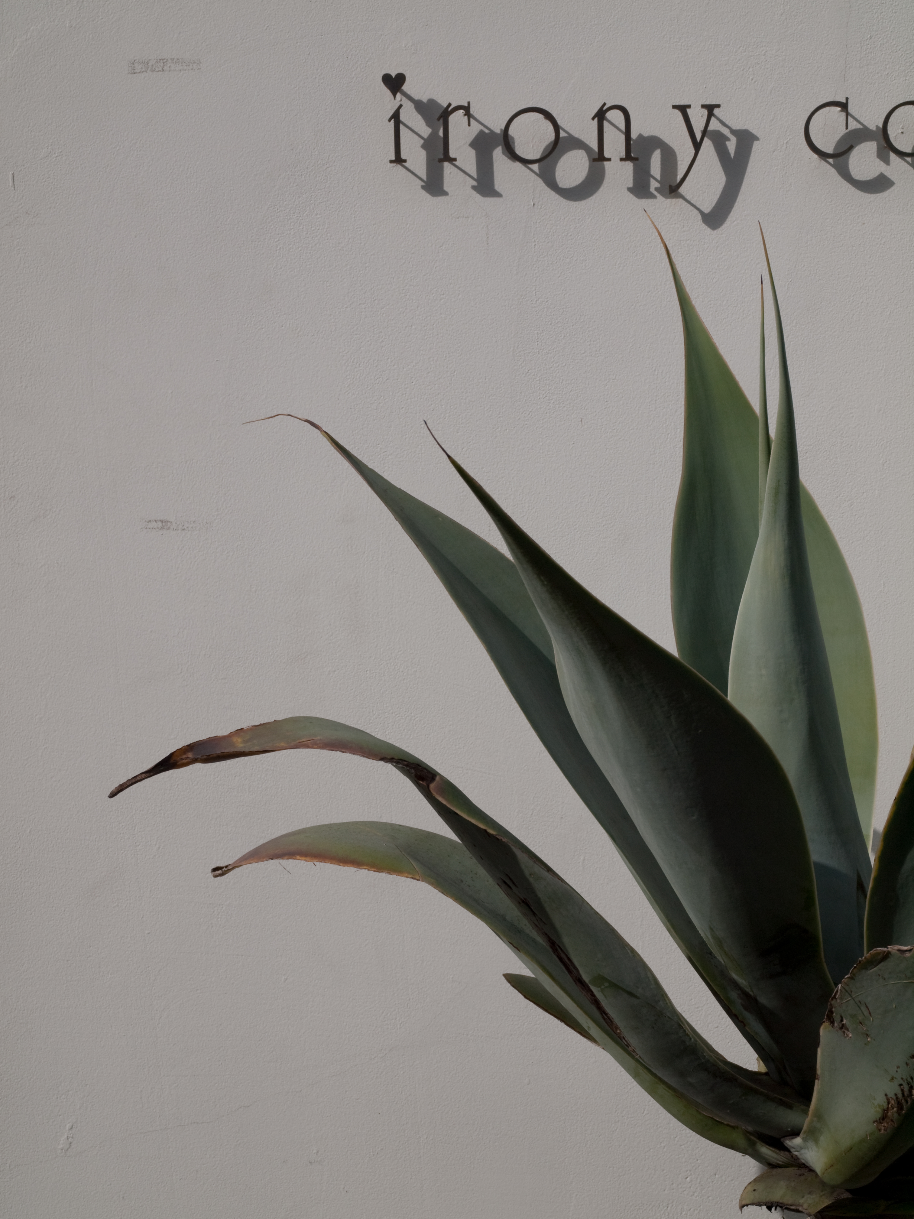 <b>RAWから未調整のまま書き出したもの</b>