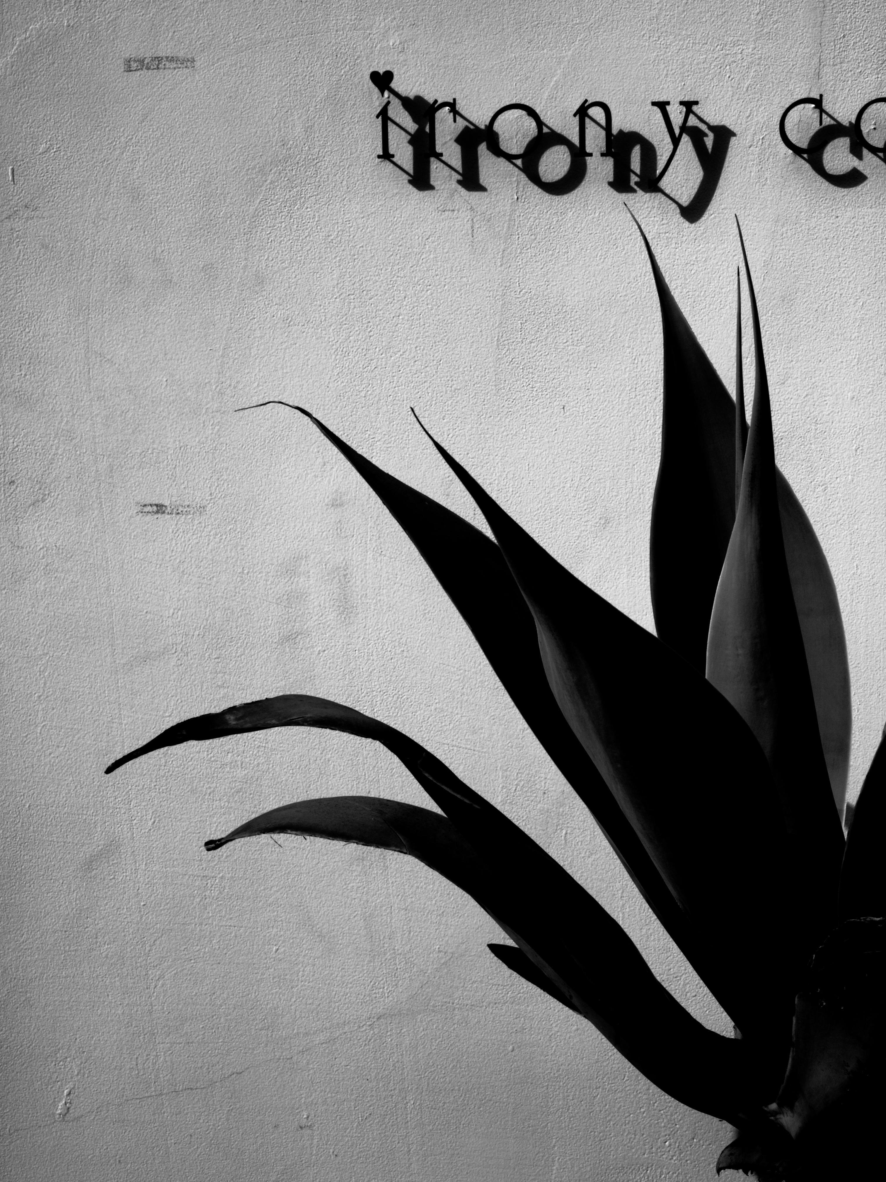 <b>真似っこラフモノクロームで書き出したもの。「ノイズ」はまだ加えていない状態</b>