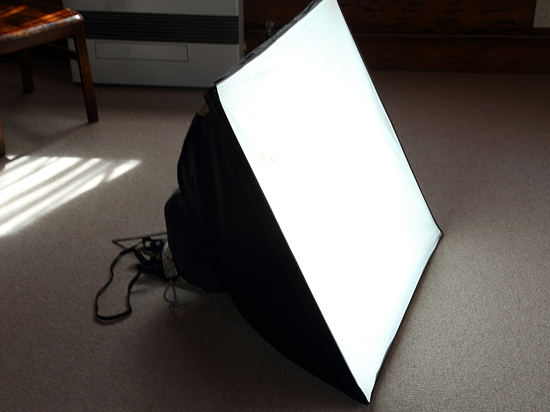 <b>2灯同時発光で試したのは、正方形（一辺80cm）の面光源が得られる<a href="http://www.net-sd.co.jp/sdtown/3f/sd320.html"><u>古典的なソフトボックス</u></a>です</b>