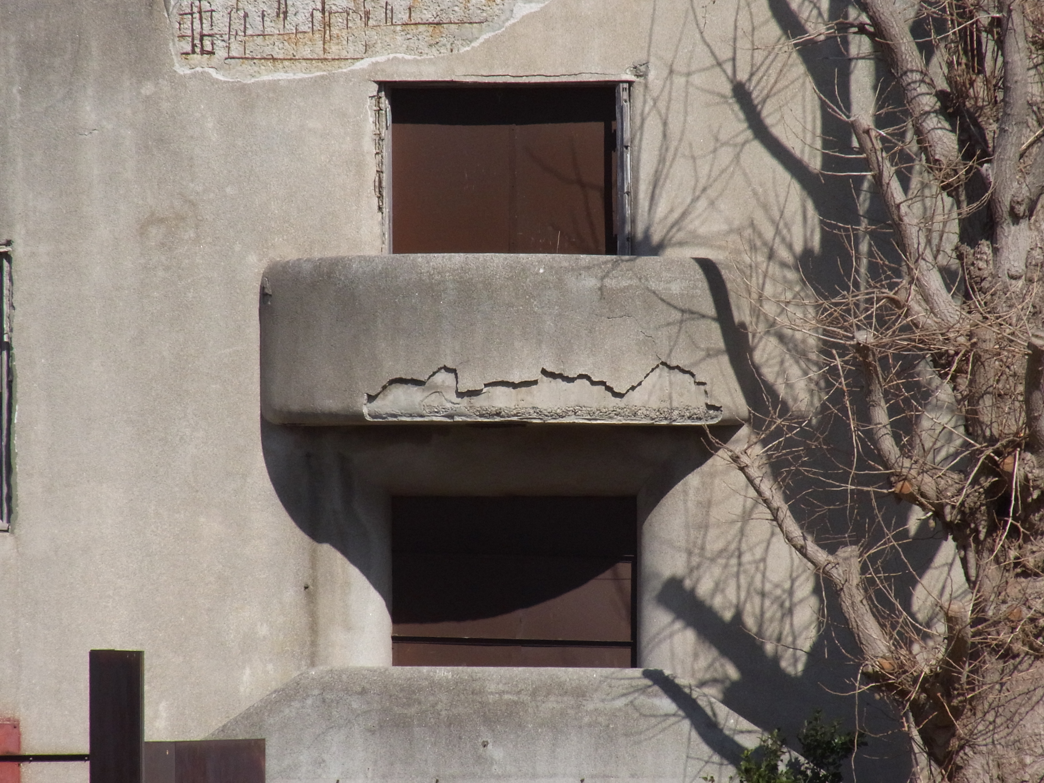 <b>約300mm相当<br>CX3 / 約3.6MB / 3,648×2,736 / 1/1320秒 / F7.7 / 0EV / ISO200 / WB:オート / 52.5mm</b>