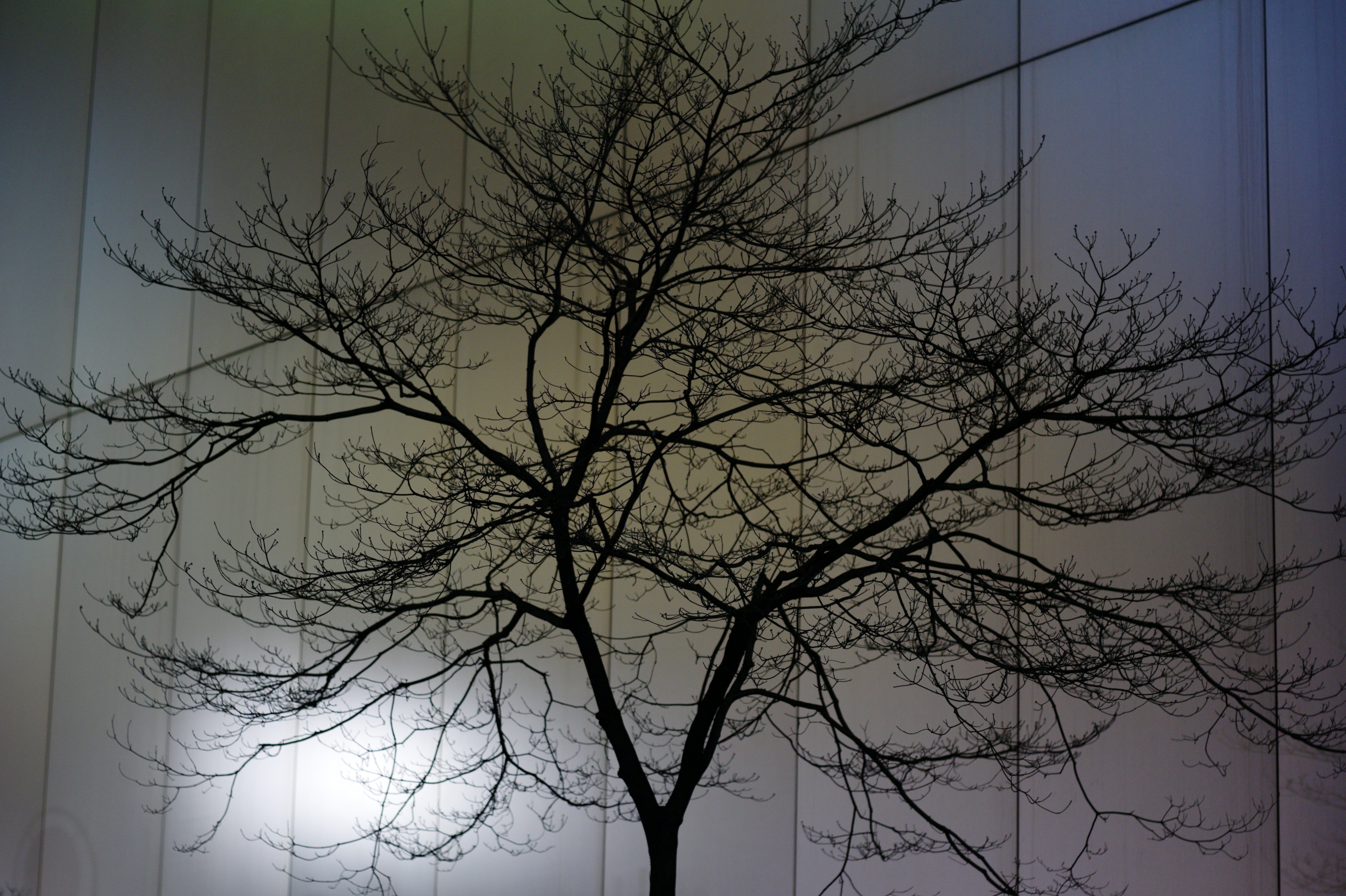 <b>M9 / ズミクロン90mm F2 / 5,261×3,472 / 1/90秒 / F2 / －1EV / ISO800 / WB:オート</b>