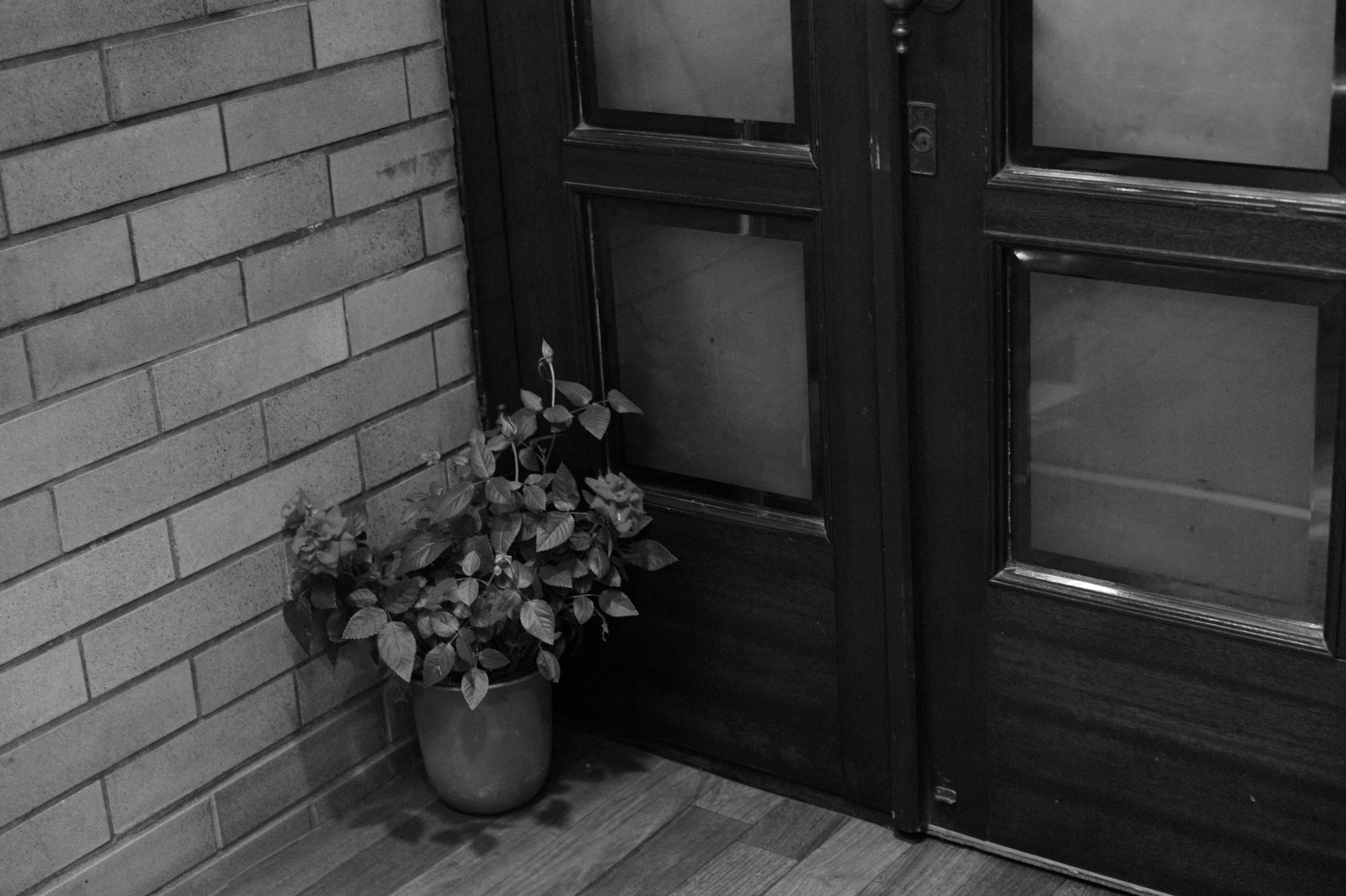 <b>M9 / ズミクロン50mm F2 / 5,261×3,472 / 1/30秒 / F4 / －1.3EV / ISO1600 / WB:オート / 彩度:白黒</b>