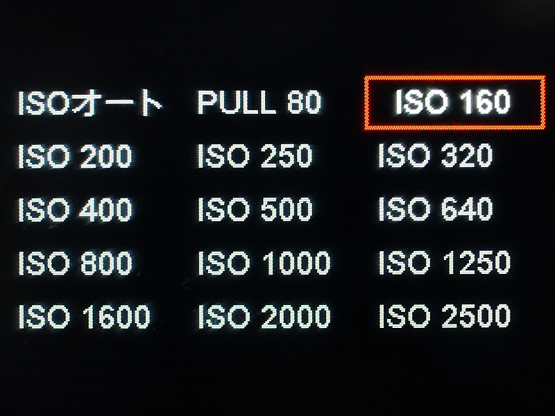 <b>M9はベース感度がISO160。最高ISO2500まで1/3段ずつ設定できる。また拡張でISO80が設定可能。さらにISO感度オートが設定できる</b>