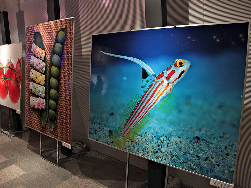 <b>会場ではE-PL1で撮影した作品も展示していた</b>