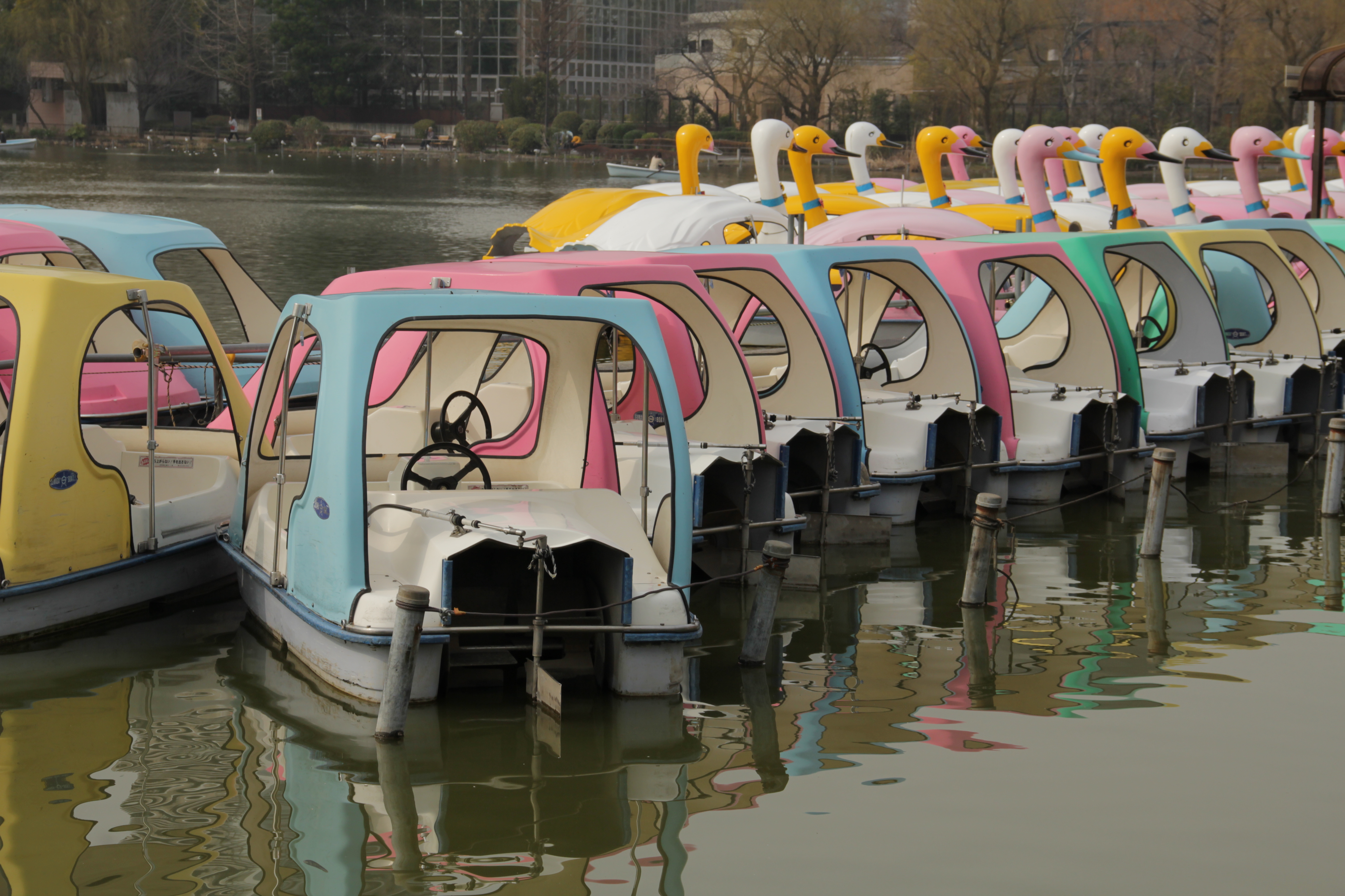 <b>ピクチャースタイル：ニュートラル</b>