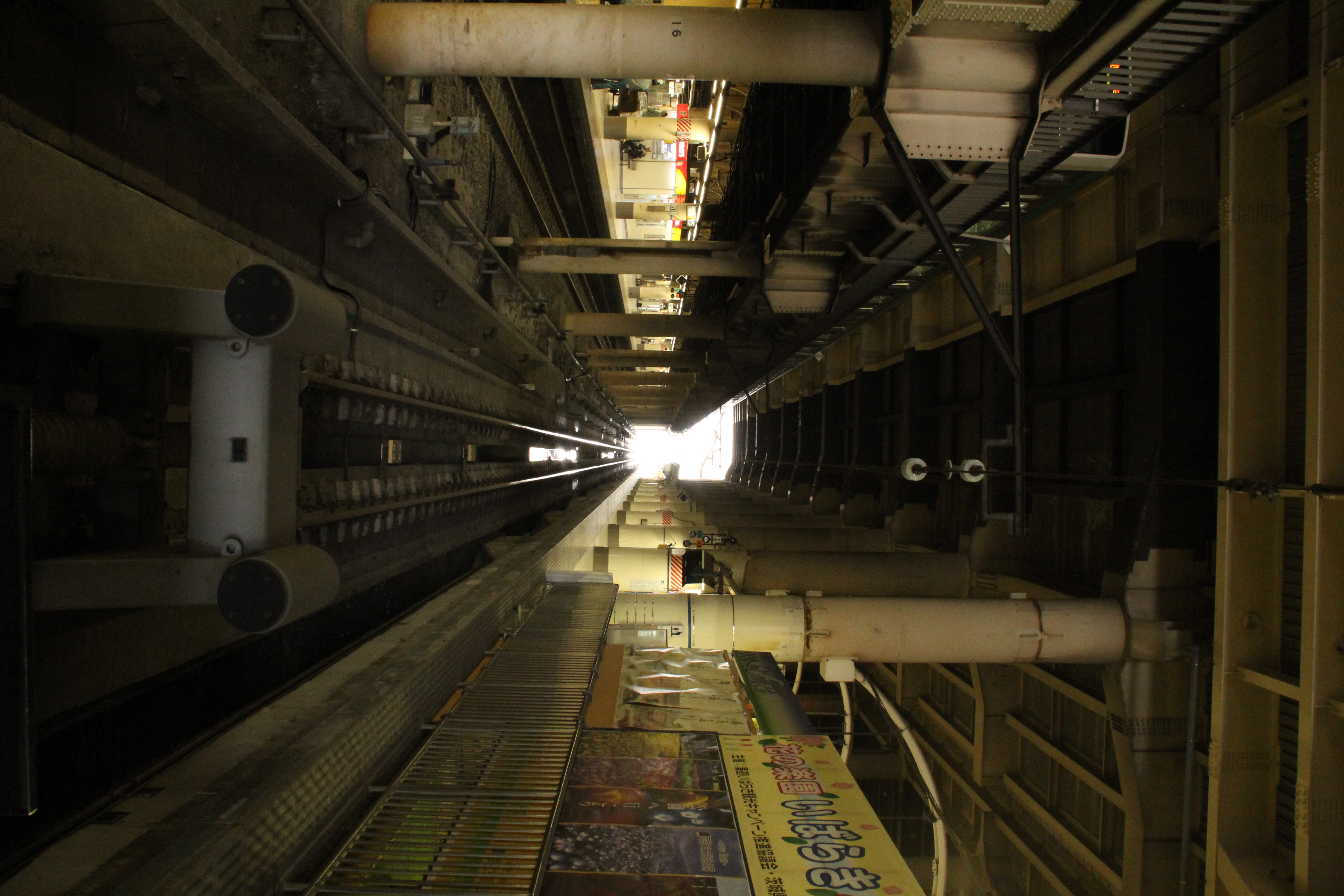 <b>ピクセル等倍で見るとディテール再現が悪くなっているのがわかるが、A4サイズのプリントならほとんど問題ないんじゃないかと思える<br>EOS Kiss X4 / EF-S 18-135mm F3.5-5.6 I / 5,184×3,456 / 1/30秒 / F13 / -0.7EV / ISO3,200 / WB:太陽光 / 18mm</b>