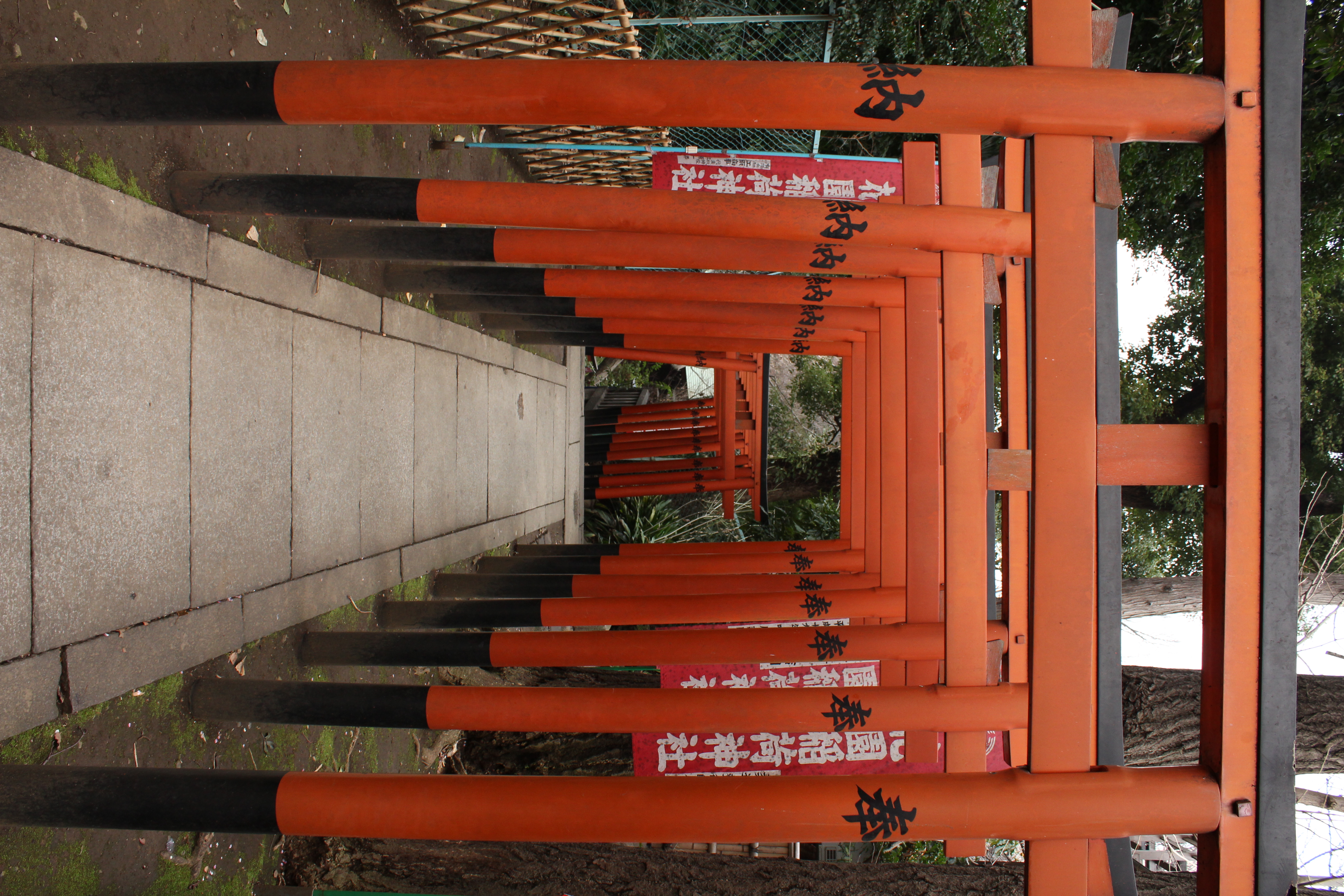 <b>ISOオート+ISの組み合わせだと、日陰や夕暮れとかの薄暗い条件がちっとも怖くなくなる。あきれるくらいに快適に撮れる<br>EOS Kiss X4 / EF-S 18-55mm F3.5-5.6 IS / 5,184×3,456 / 1/30秒 / F8 / -0.7EV / ISOオート（ISO500） / WB:太陽光 / 18mm</b>