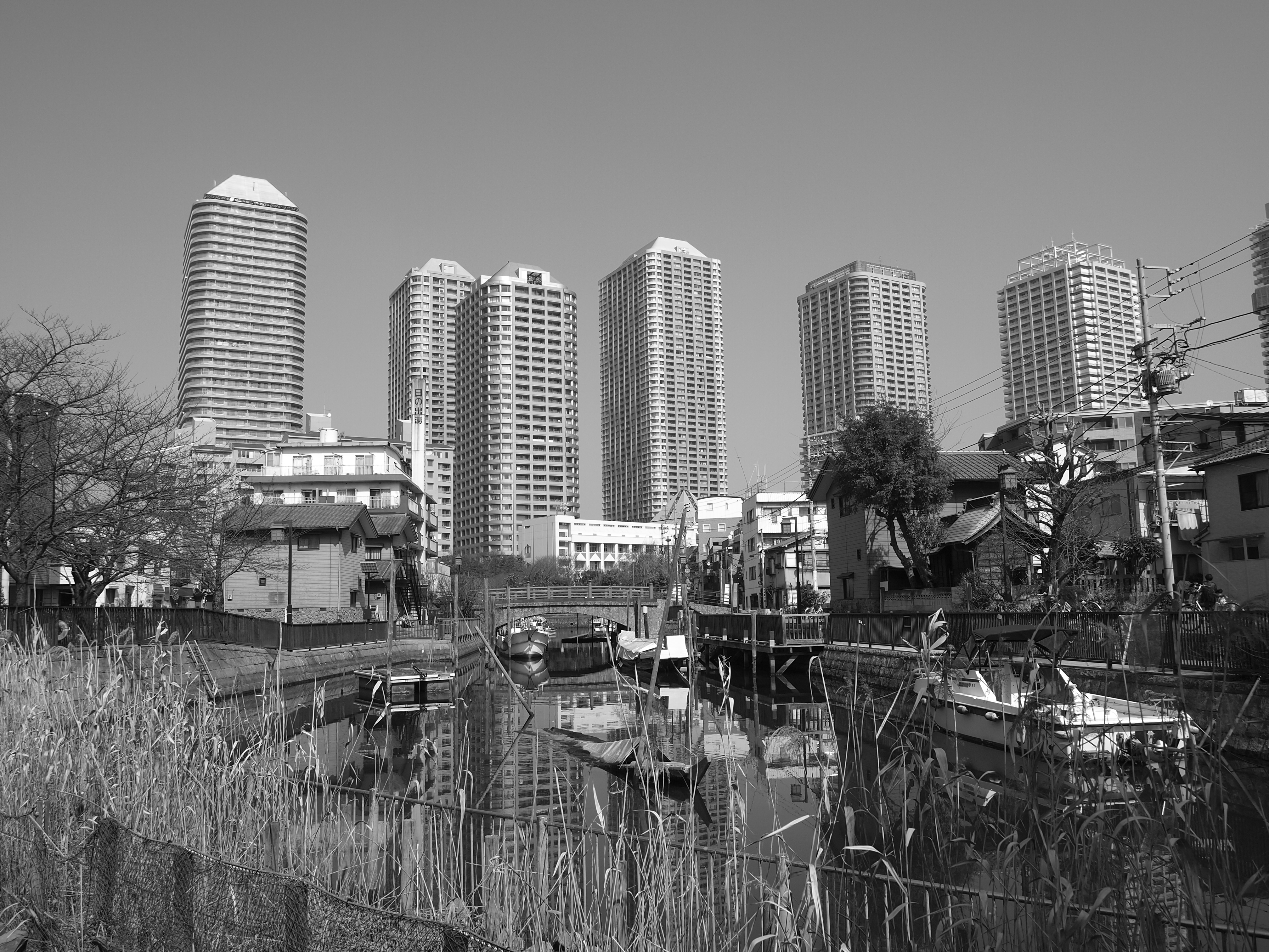 <b>モノトーン</b>