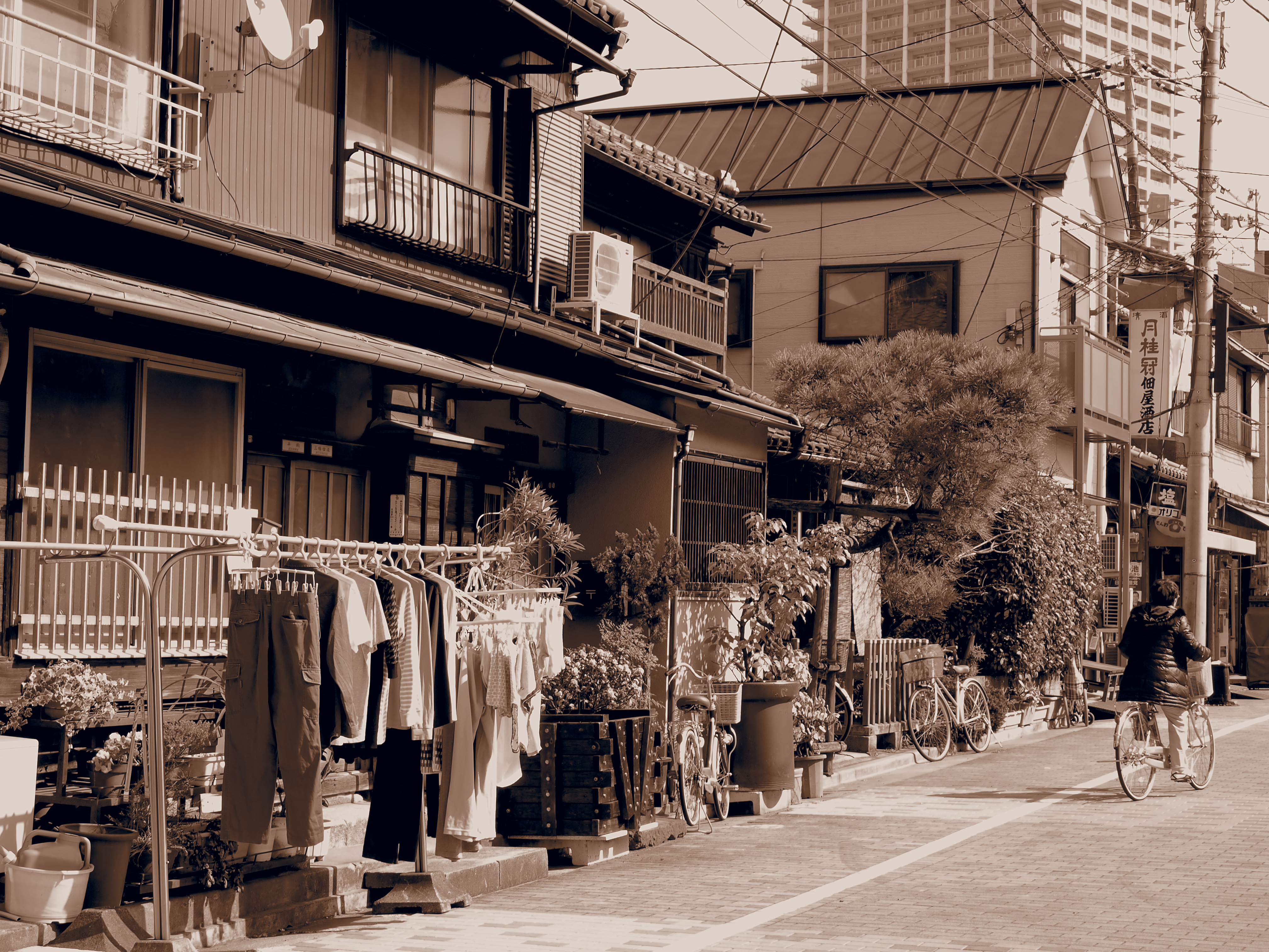 <b>ジェントルセピア<br>E-PL1 / M.ZUIKO DIGITAL ED-14-42mm F3.5-5.6 L / 約5.9MB / 4,032×3,024 / 1/125秒 / F6.3 / 0EV / ISO100 / WB:― / 32mm</b>