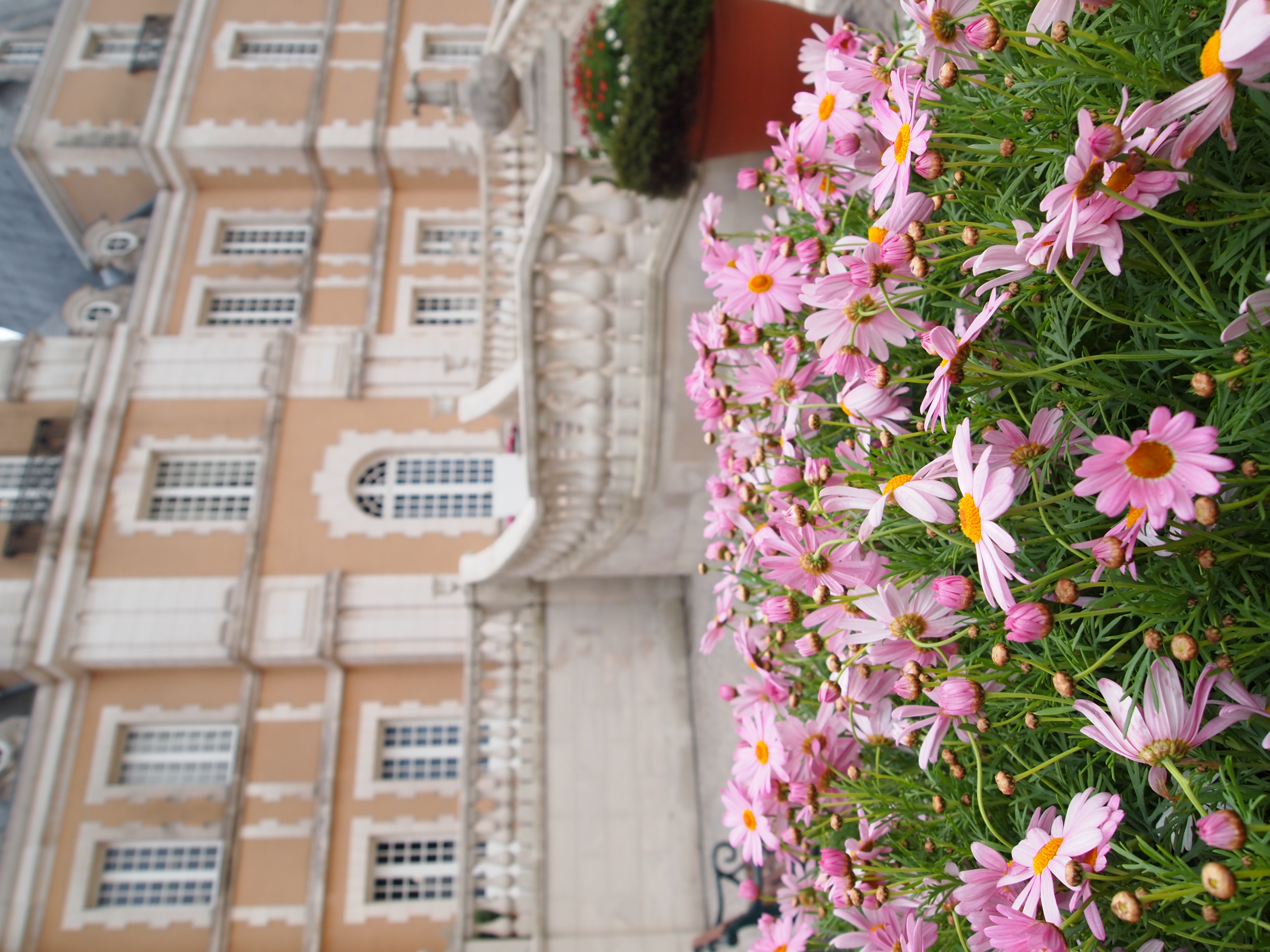 <b>E-PL1 / M.ZUIKO DIGITAL ED-14-42mm F3.5-5.6 L / 約5.4MB / 3,024×4,032 / 1/125秒 / F4.5 / +0.7EV / ISO200 / WB:オート / 14mm</b>