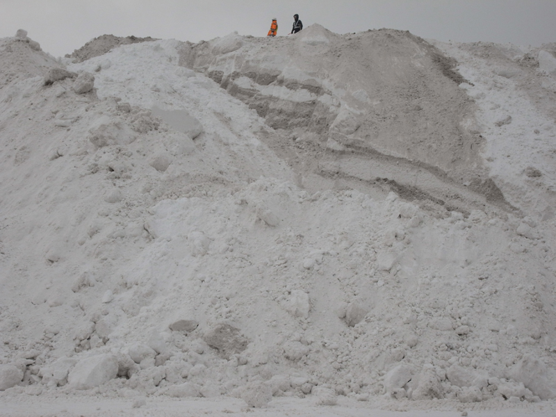 GXR+RICOH LENS S10 24-72mm F2.5-4.4 VC