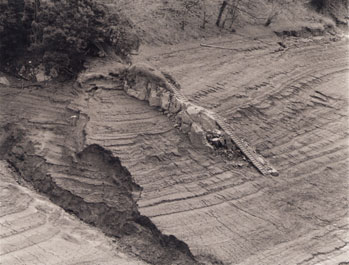 <b>(c)鈴木篤男</b>