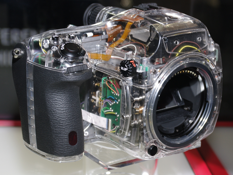 <b>スケルトンモデルも展示した</b>