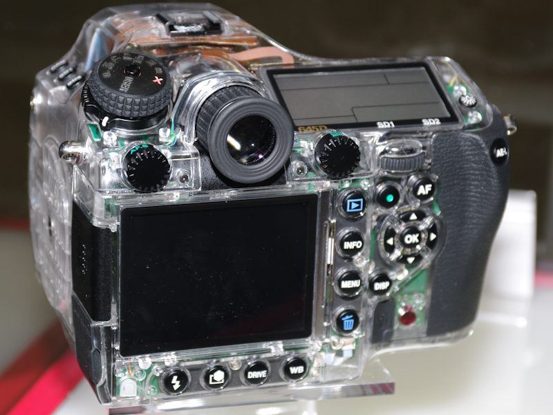 <b>スケルトンモデルも展示した</b>