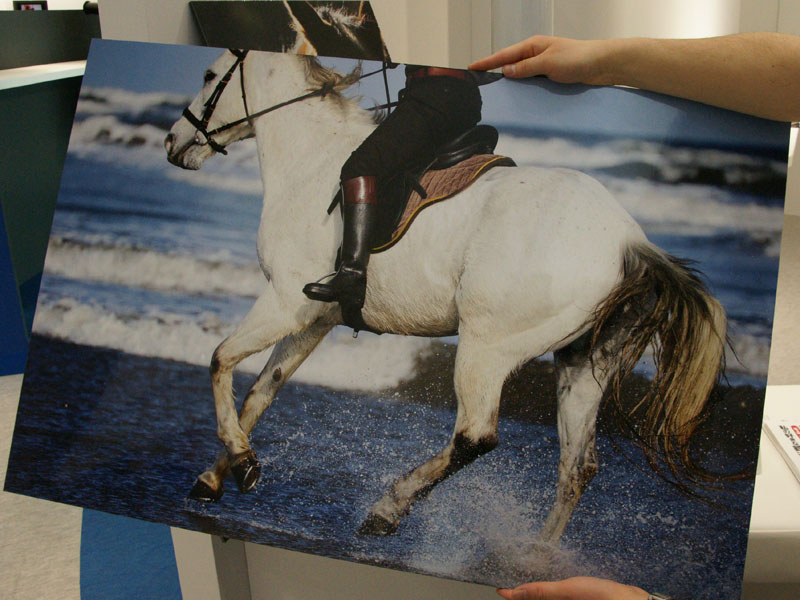 <b>SP 70-300mm F4-5.6 Di VC USDの作例を数点展示している</b>