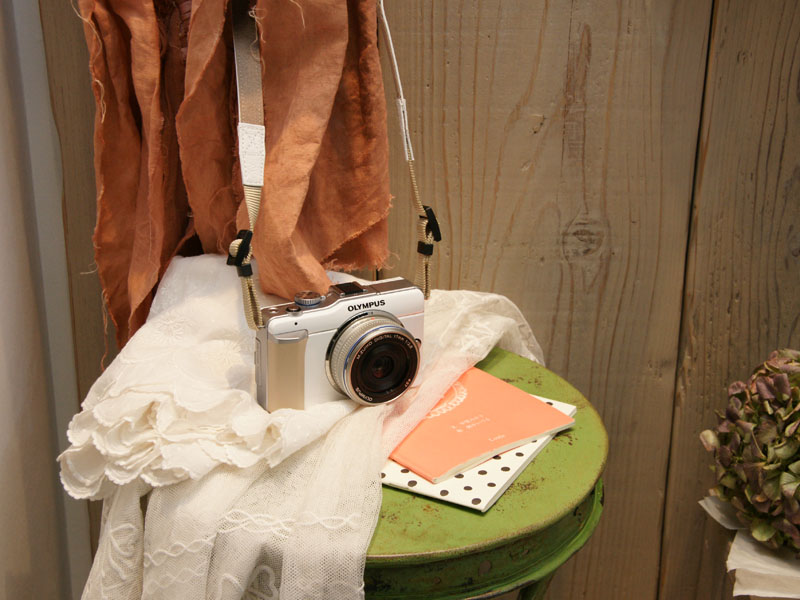 <b>E-PL1が置かれている</b>