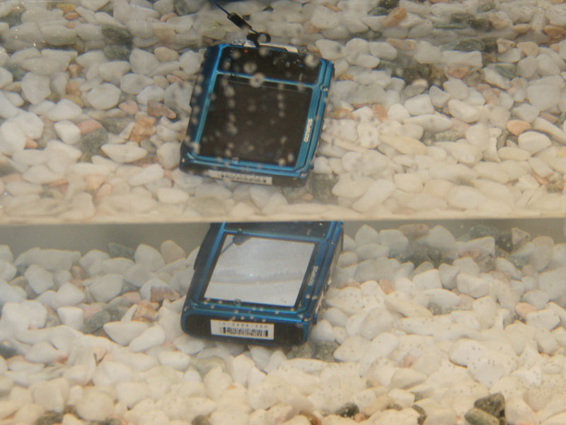 <b>そのまま水没する。一部始終を動画で確認することができる</b>