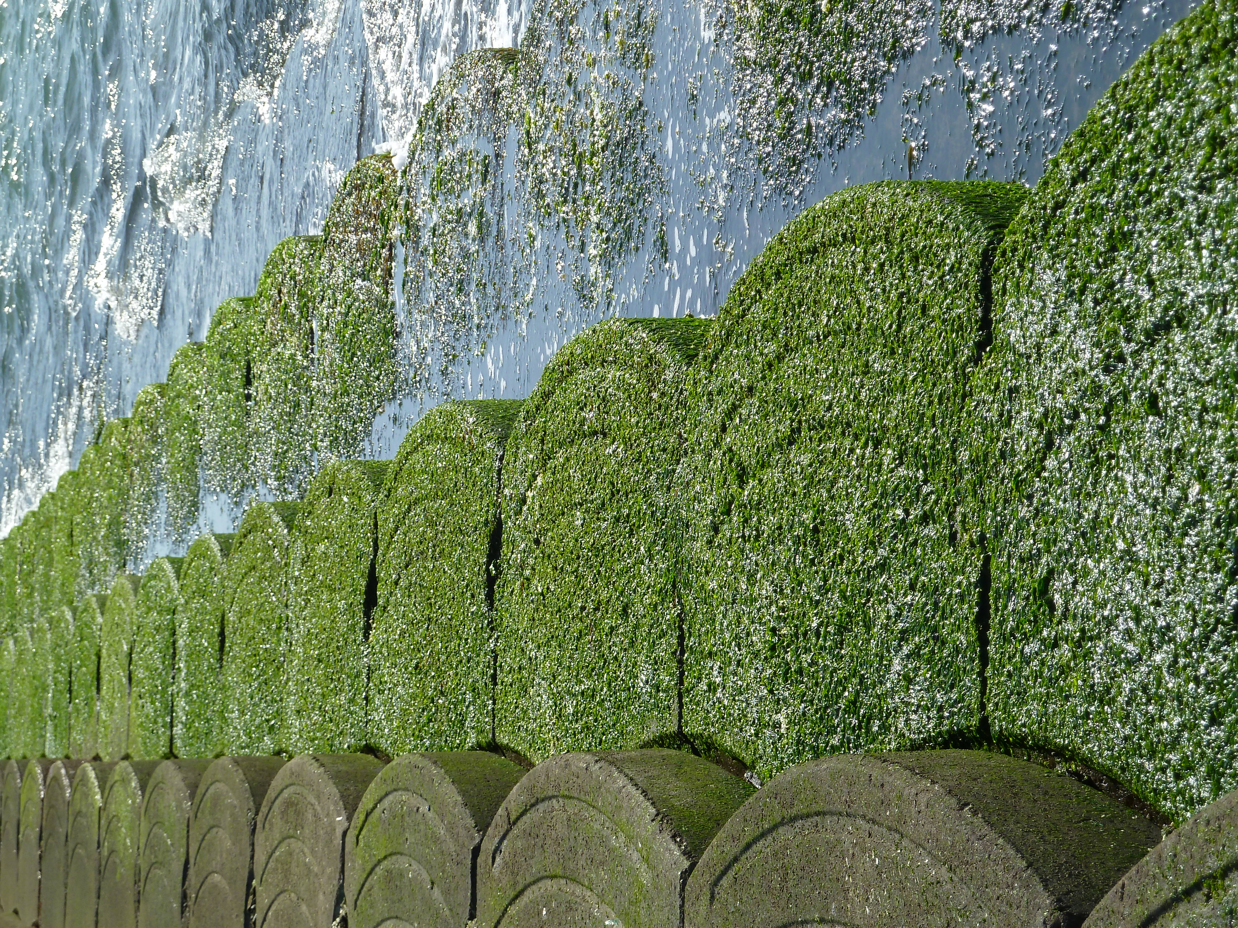 <b>DMC-TZ10 / 約4.4MB / 3,000×4,000 / 1/500秒 / F5 / -0.3EV / ISO80 / WB:オート / 17mm</b>