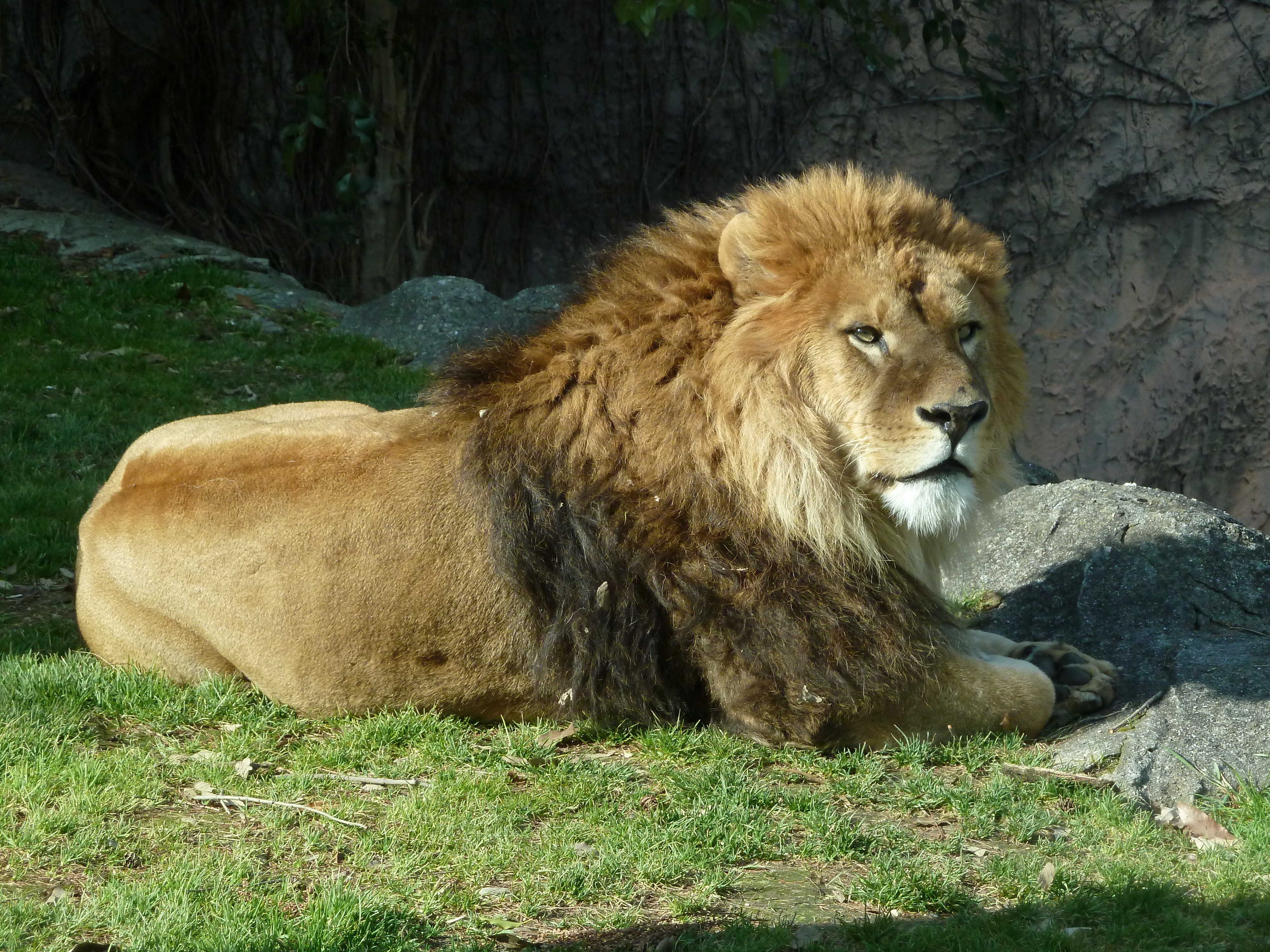 <b>DMC-TZ10 / 約4.0MB / 4,000×3,000 / 1/320秒 / F4.4 / -0.7EV / ISO200 / WB:オート / 18.2mm</b>