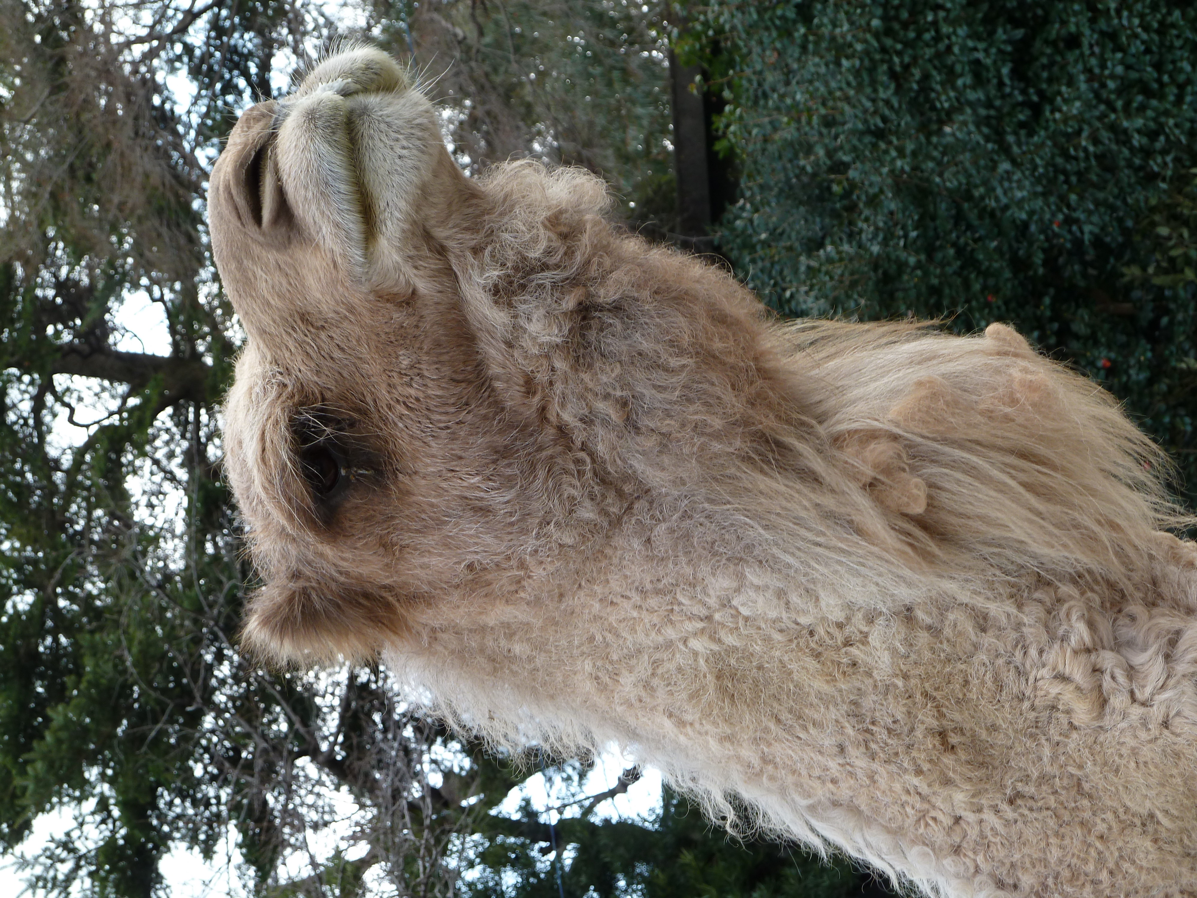 <b>DMC-TZ10 / 約3.0MB / 3,000×4,000 / 1/80秒 / F4.3 / -0.3EV / ISO80 / WB:オート / 17mm</b>