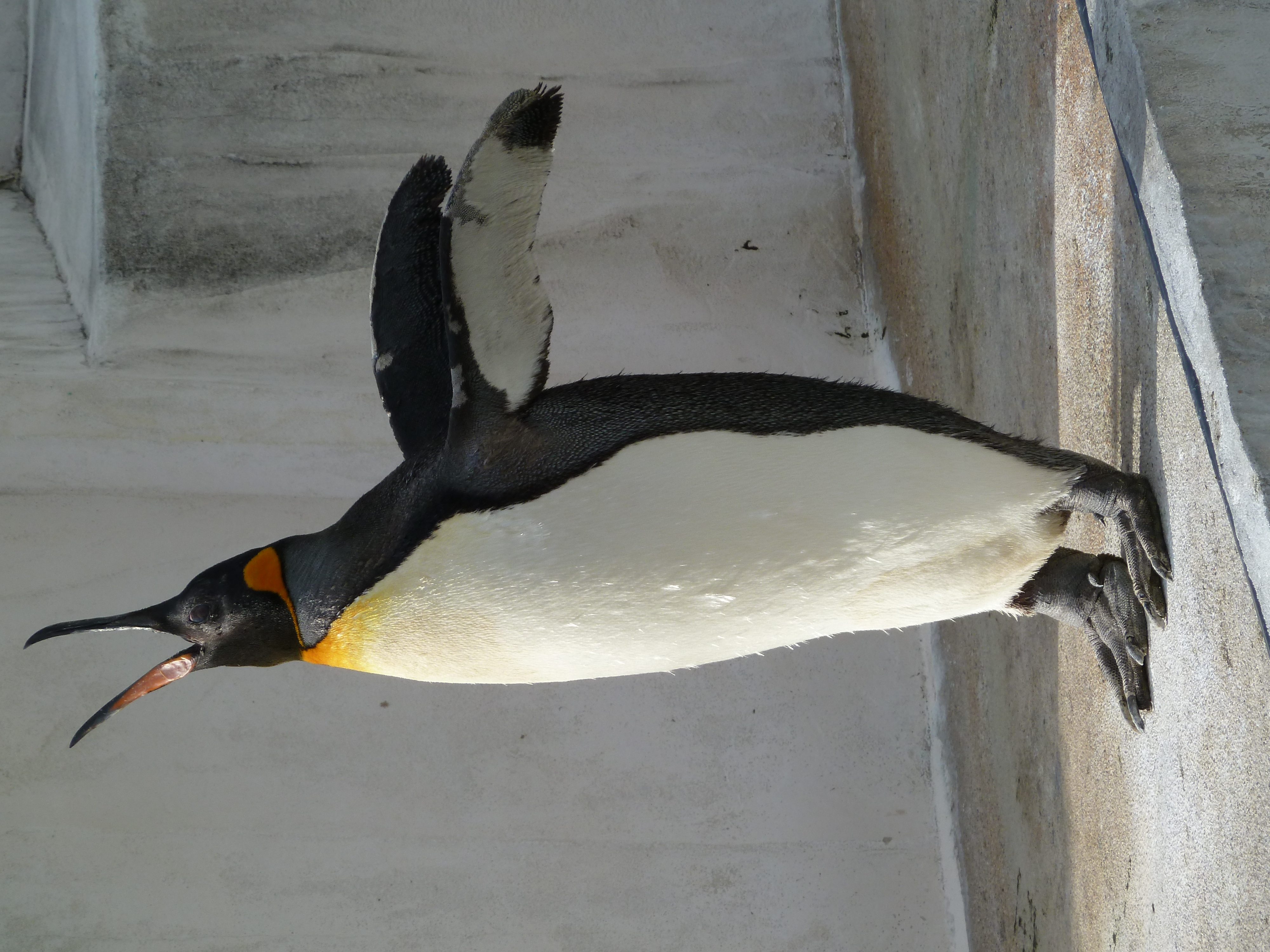 <b>DMC-TZ10 / 約3.6MB / 3,000×4,000 / 1/400秒 / F5 / -0.3EV / ISO80 / WB:オート / 25.9mm</b>