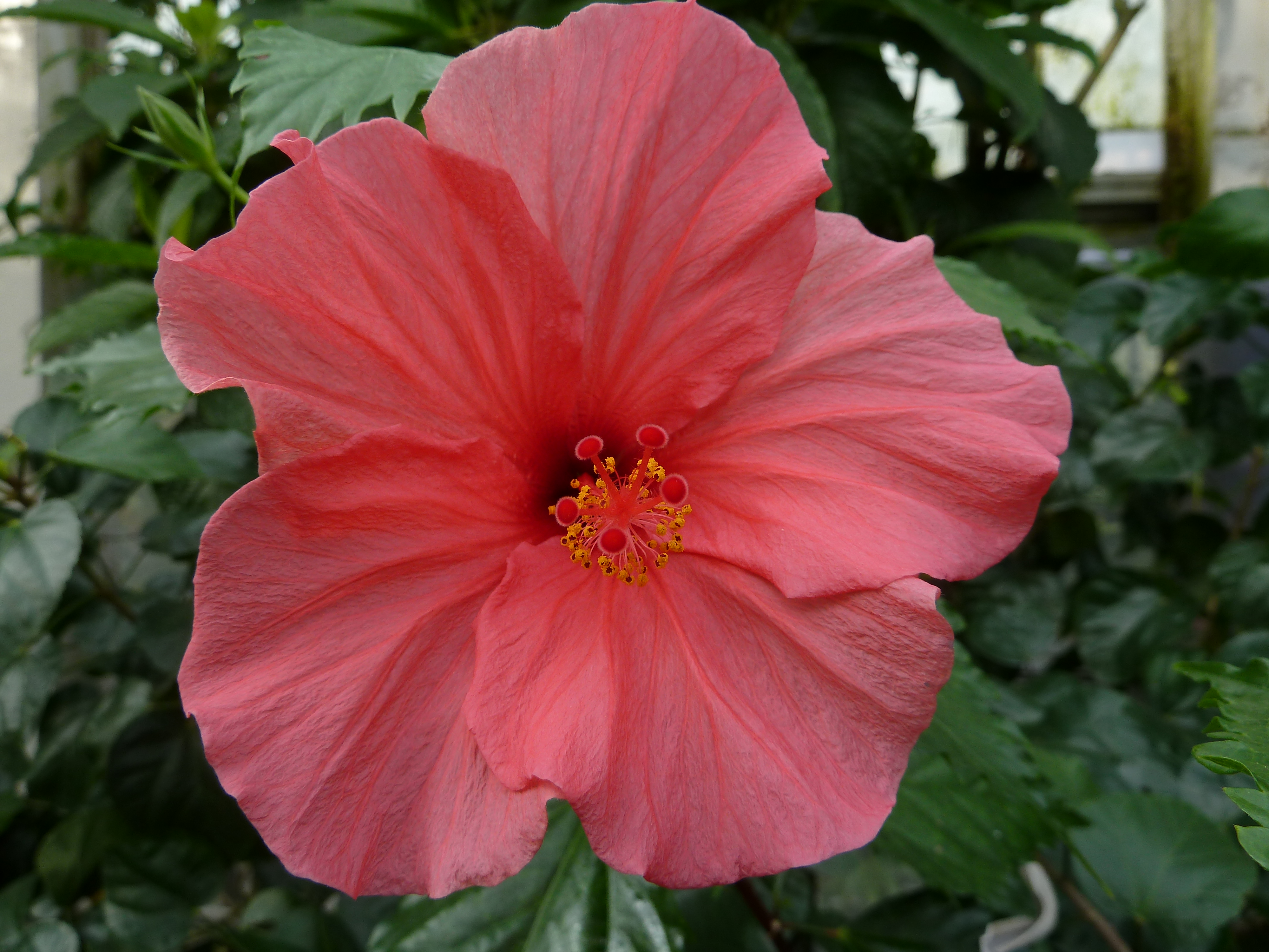 <b>DMC-TZ10 / 約4.0MB / 4,000×3,000 / 1/50秒 / F3.3 / -0.3EV / ISO80 / WB:オート / 4.1mm</b>