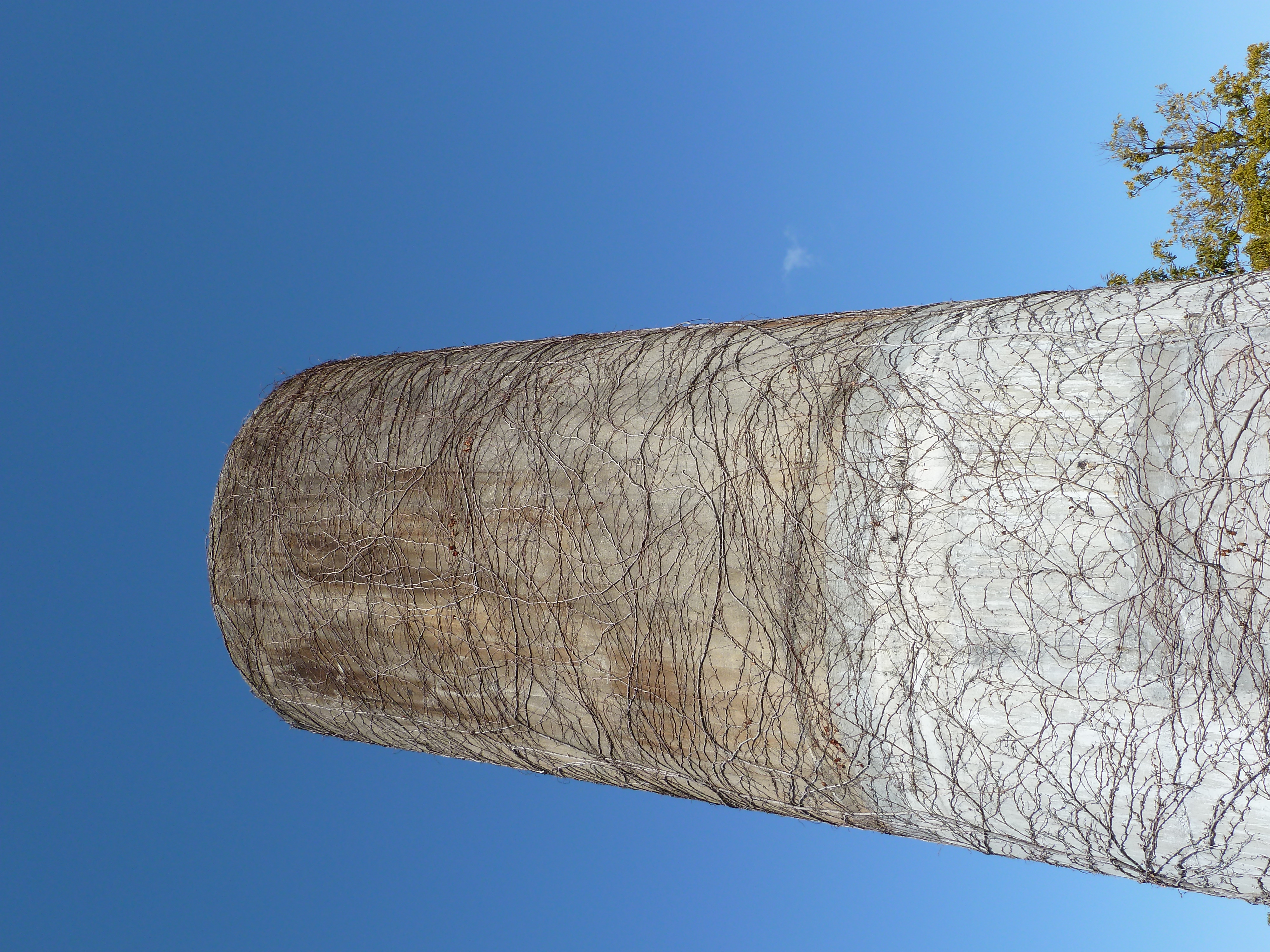 <b>DMC-TZ10 / 約4.6MB / 3,000×4,000 / 1/400秒 / F5 / 0EV / ISO80 / WB:オート / 5.7mm</b>