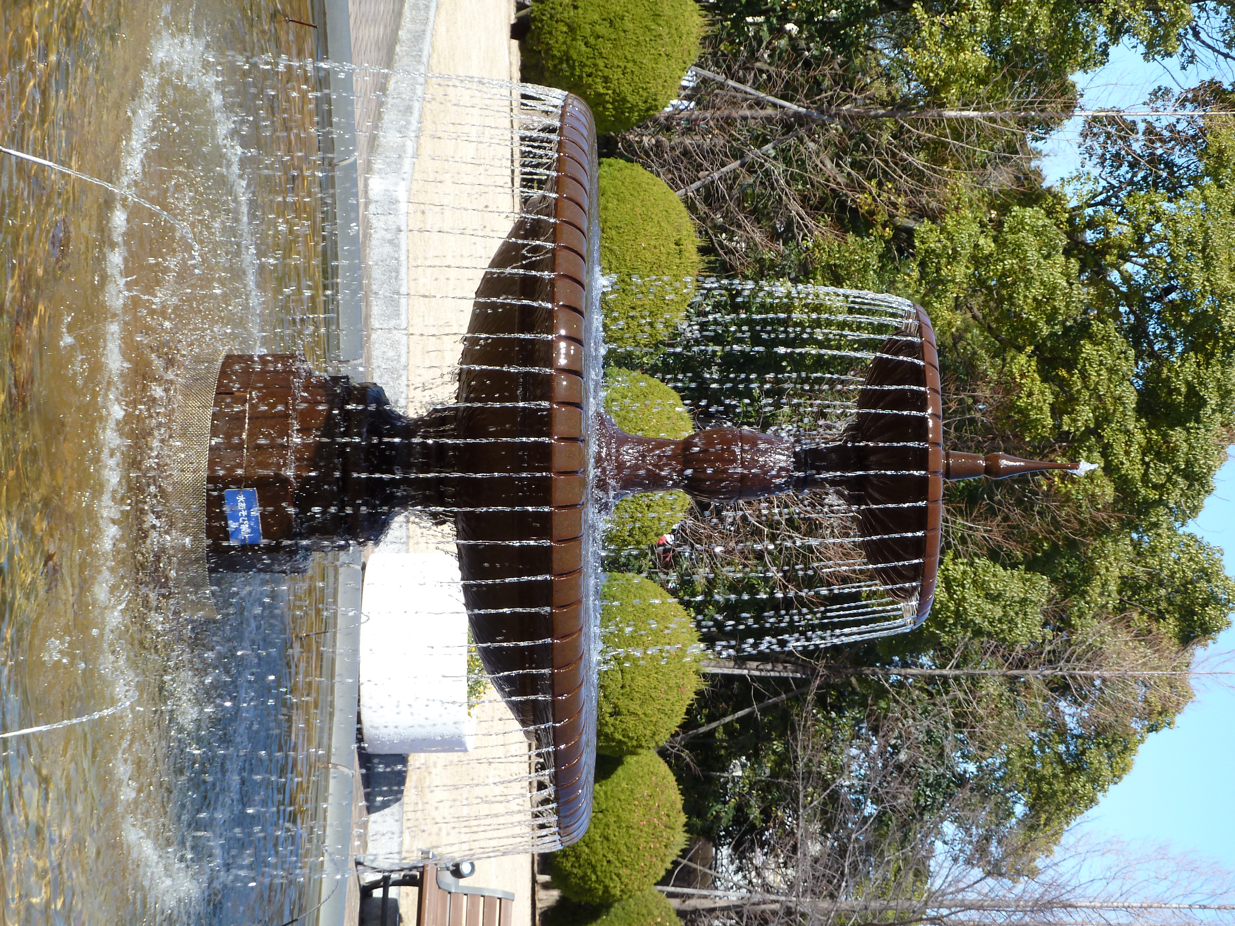 <b>オートで撮影。シャッター速度は1/250秒<br>DMC-TZ10 / 約4.9MB / 3,000×4,000 / F4.1 / 0EV / ISO80 / WB:オート / 11mm</b>