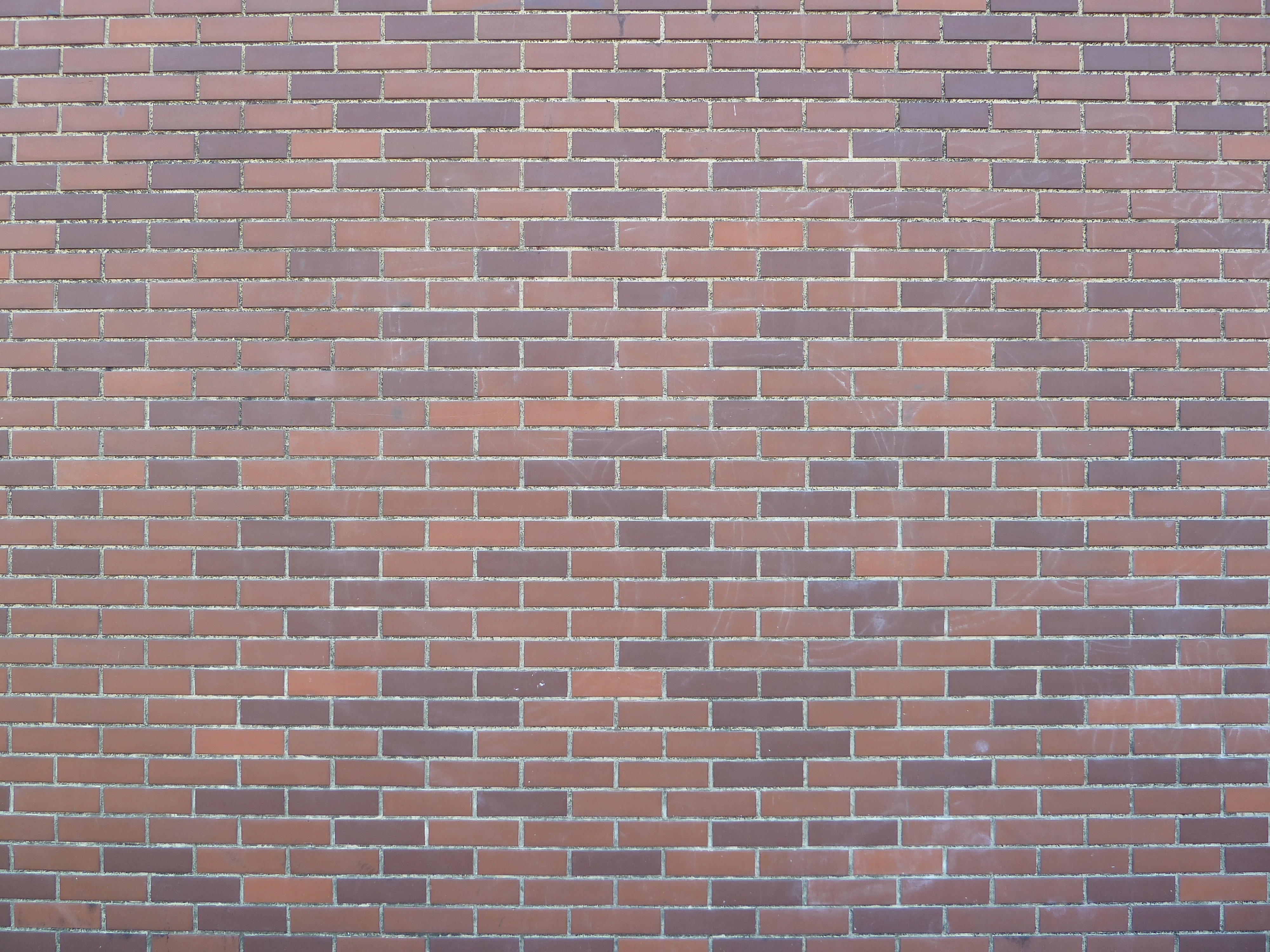 <b>広角端<br>DMC-TZ10 / 約4.7MB / 4,000×3,000 / 1/50秒 / F3.3 / 0EV / ISO80 / WB:オート / 4.1mm</b>