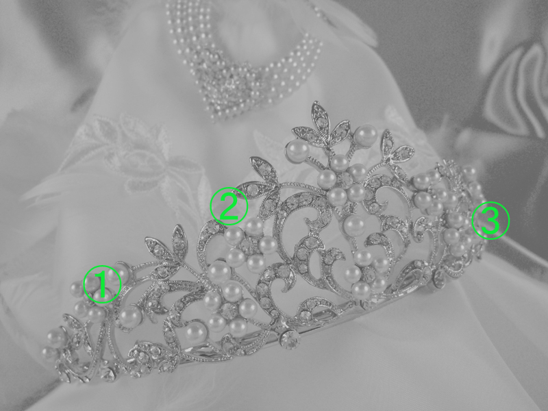 <b>左のサンプルの見方。「1」で輪郭のクッキリ具合、「2」でディテールの描写、「3」でグラデーションの滑らかさを確認できる</b>