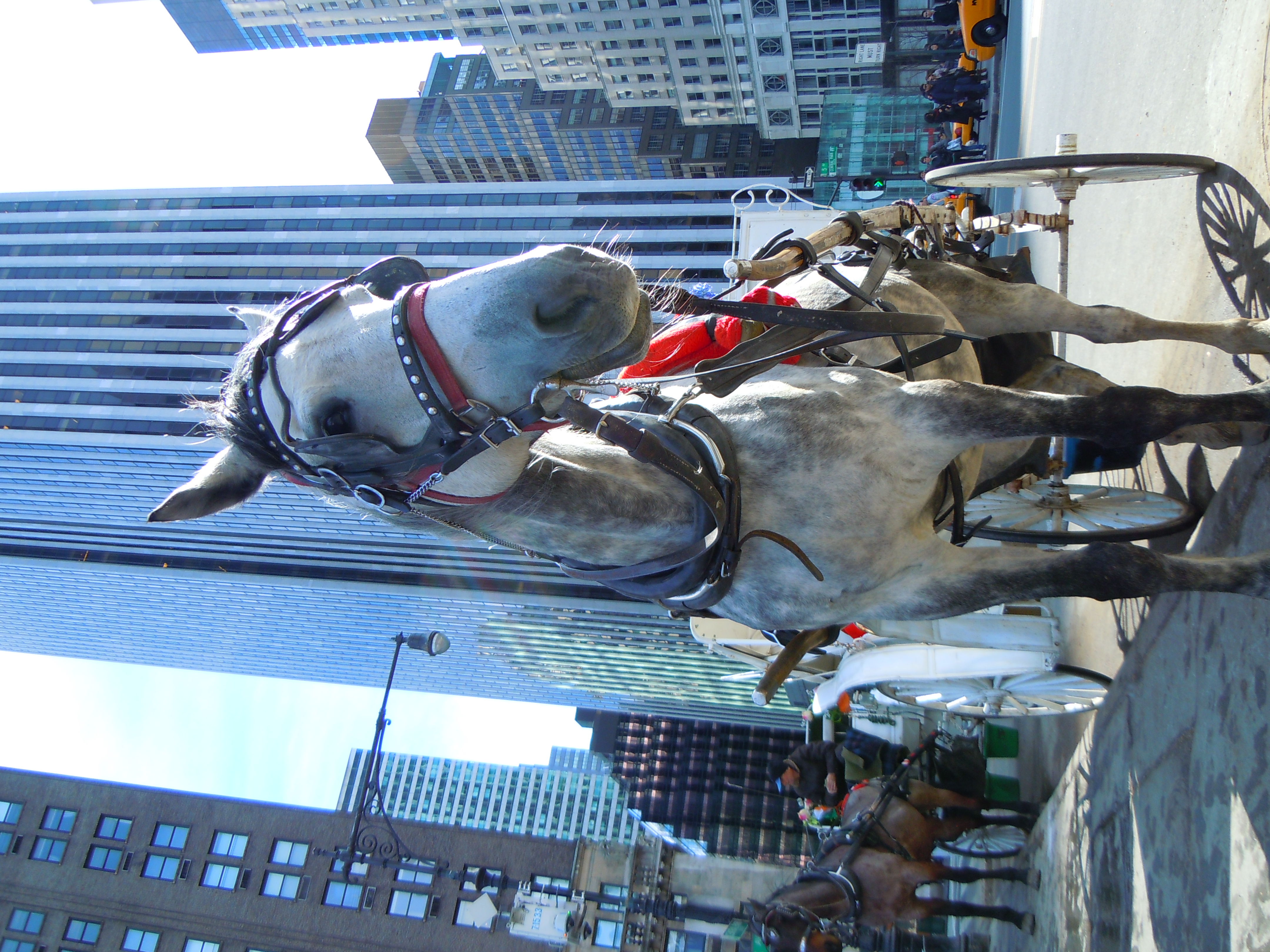 <b>COOLPIX S8000 / 約4.8MB / 3,240×4,320 / 1/320秒 / F3.5 / +0.3EV / ISO100 / WB:晴天 / 5.4mm</b>