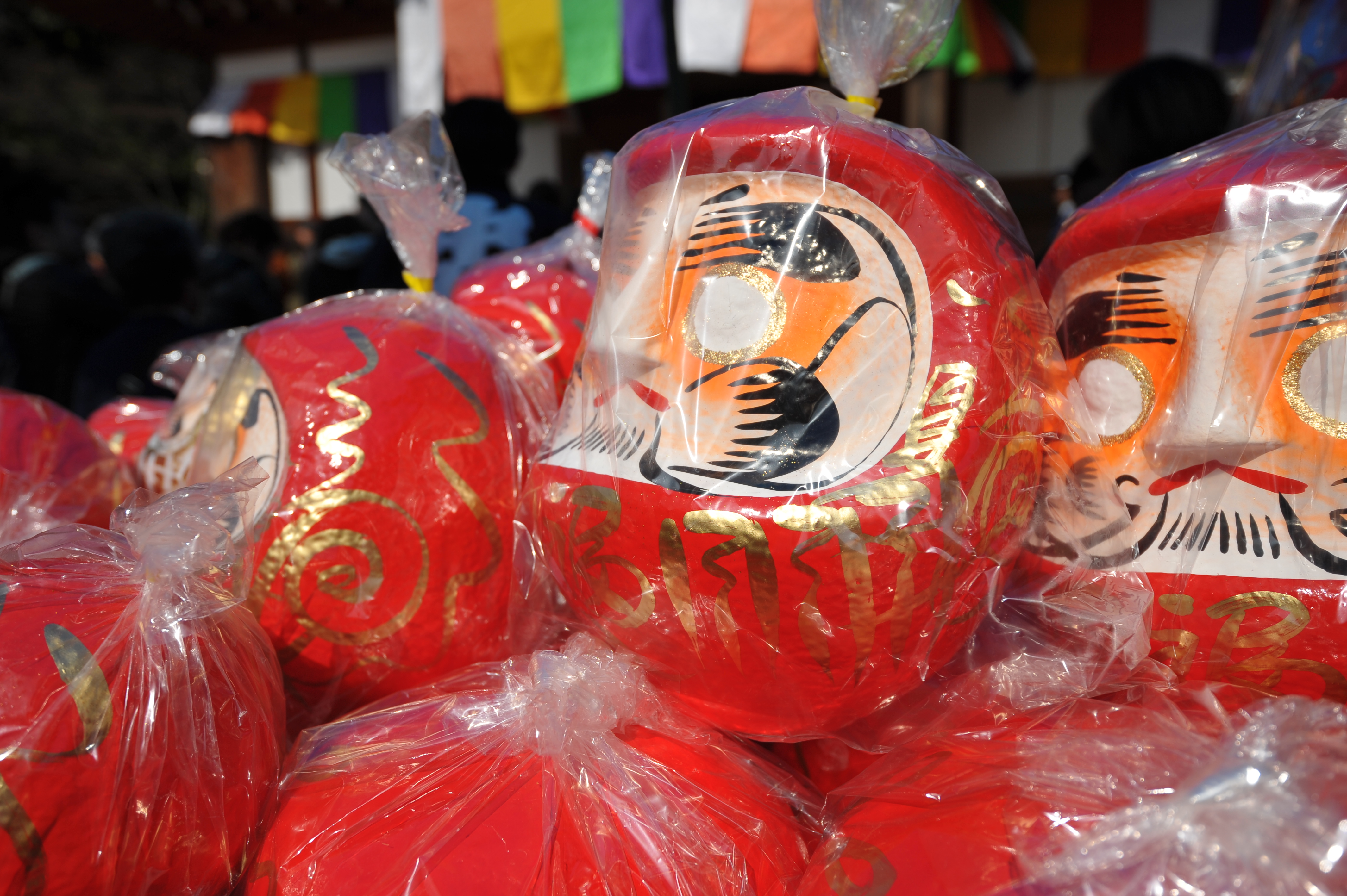 <b>D700 / AF-S NIKKOR 16-35mm F4 G ED VR / 約4.4MB / 4,256×2,832 / 1/3,200秒 / F4.5 / -0.3EV / ISO200 / WB:晴天 / 26mm</b>