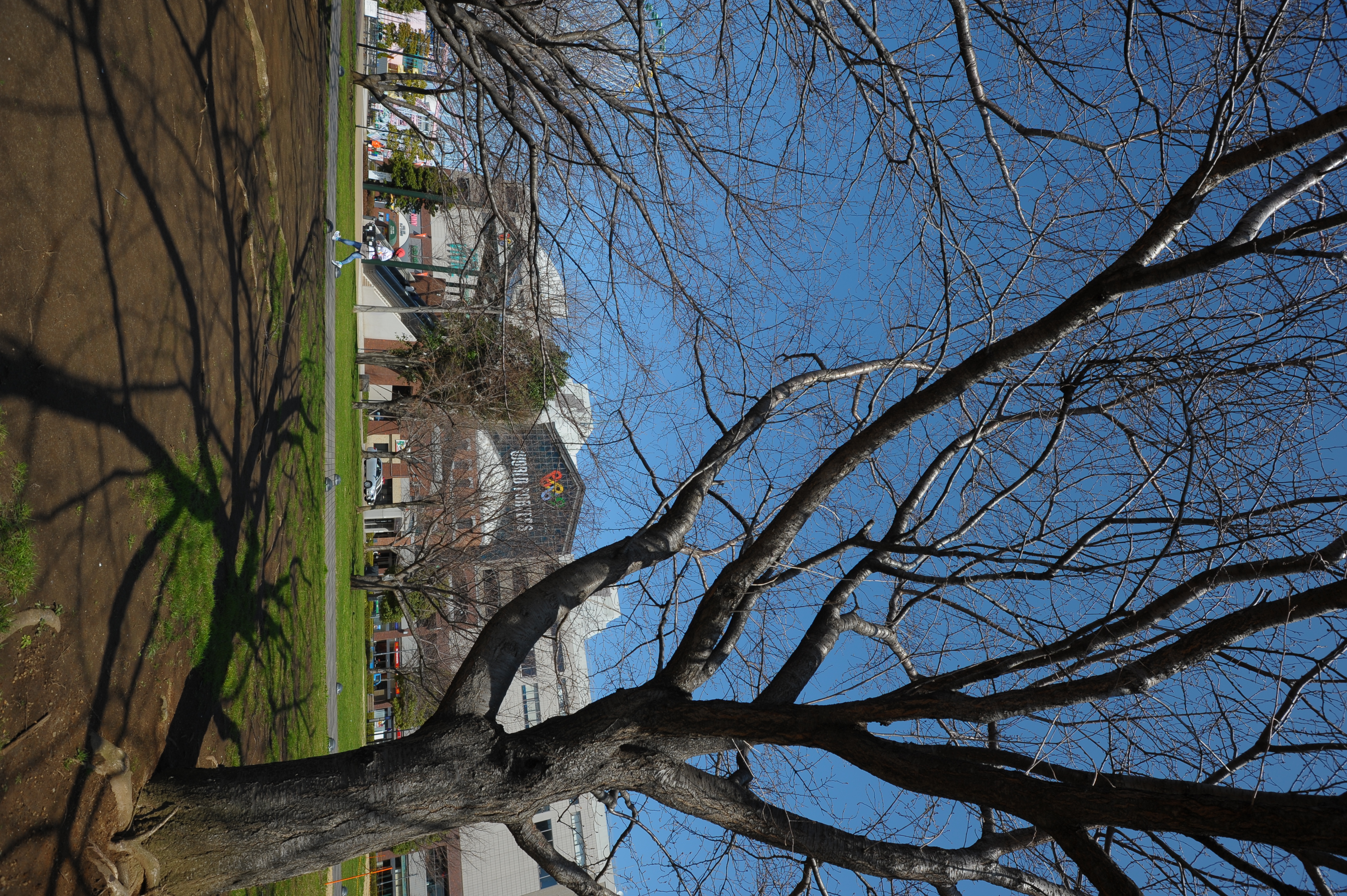 <b>D700 / AF-S NIKKOR 16-35mm F4 G ED VR / 約6.5MB / 4,256×2,832 / 1/400秒 / F8 / -0.3EV / ISO200 / WB:オート / 16mm</b>