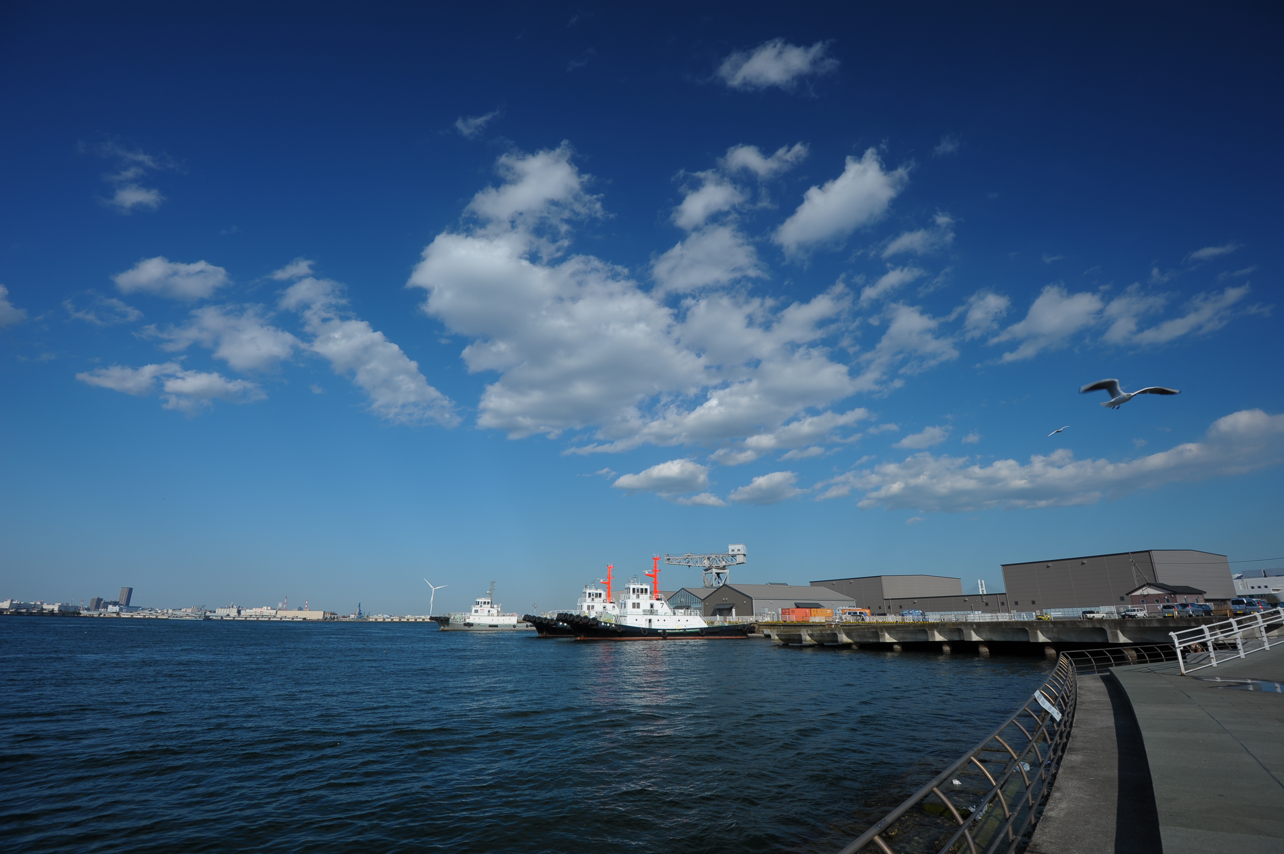 <b>D700 / AF-S NIKKOR 16-35mm F4 G ED VR / 約3.6MB / 4,256×2,832 / 1/320秒 / F7 / 0EV / ISO200 / WB:4,760K / 16mm</b>