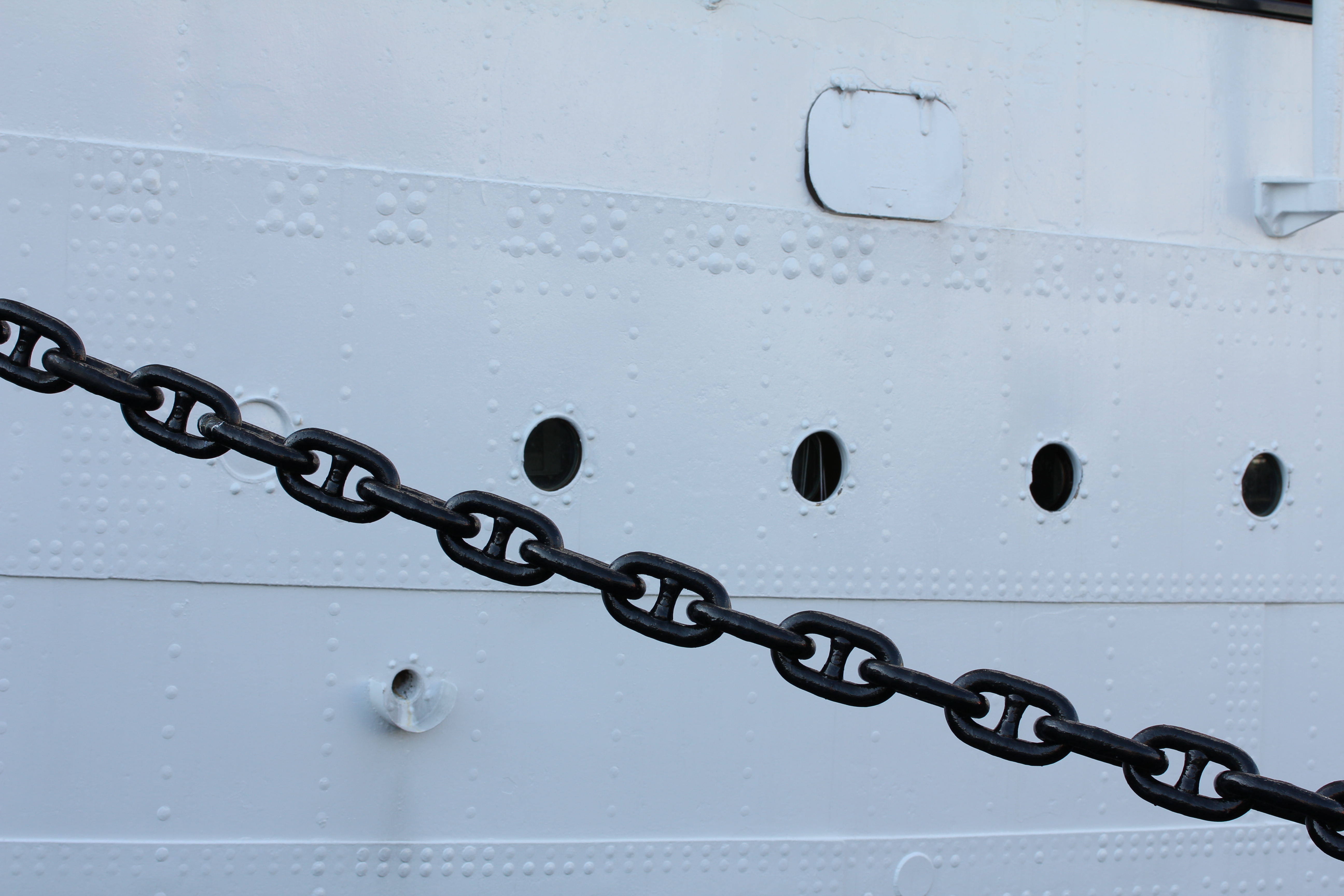 <b>こういうシーンではそれなりに大きくプラス補正する必要があるわけで、だから露出の精度はあまり変わっていないのかもしれない<br>EOS Kiss X4 / EF-S 60mm F2.8 Macro USM / 5,184×3,456 / 1/100秒 / F8 / ＋1.3EV / ISO100 / WB:オート / 60mm</b>