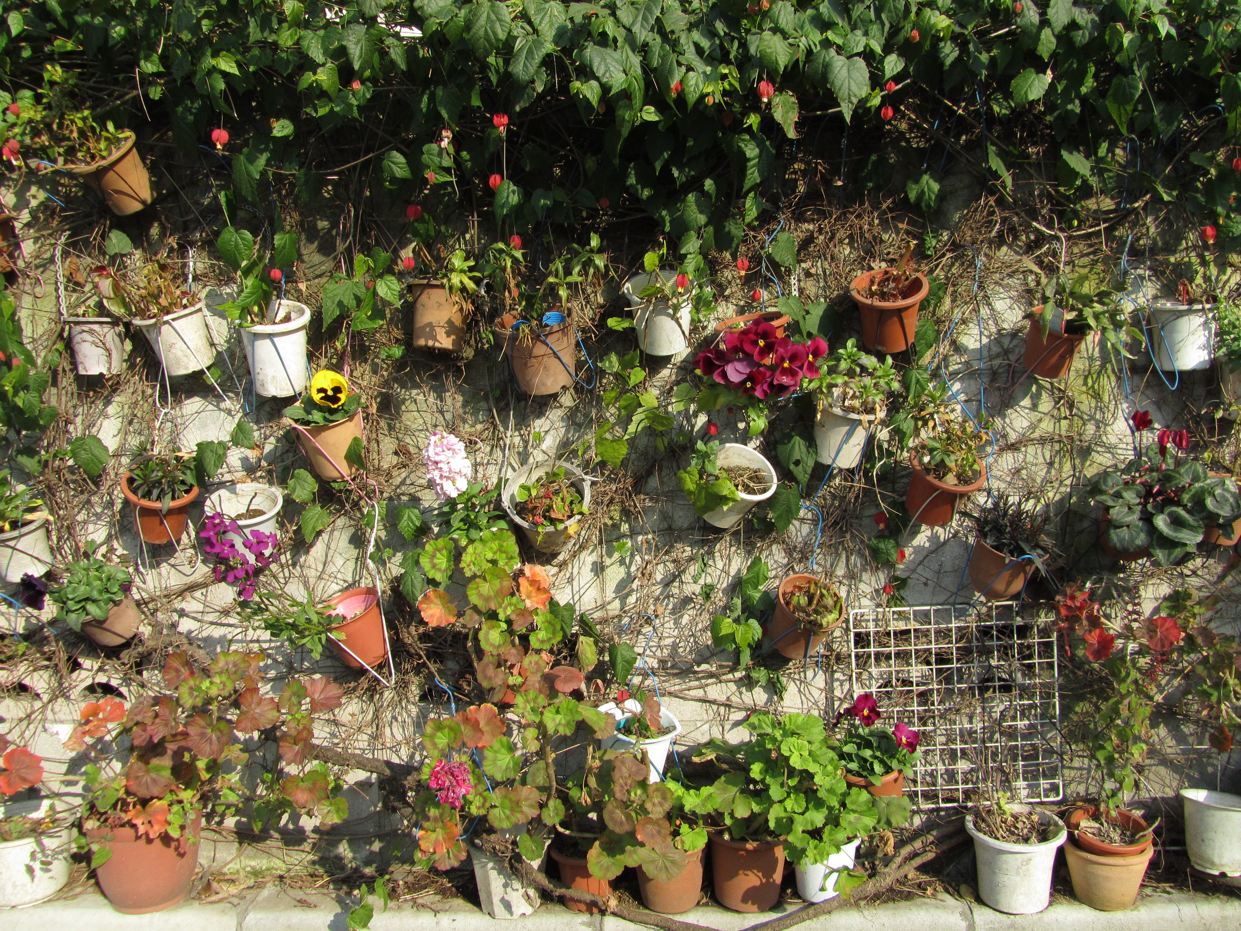 <b>PowerShot SX210 IS / 4,320×3,240 / 1/400秒 / F4 / -0.3EV / ISO100 / プログラムAE / WB:オート / 5mm</b>