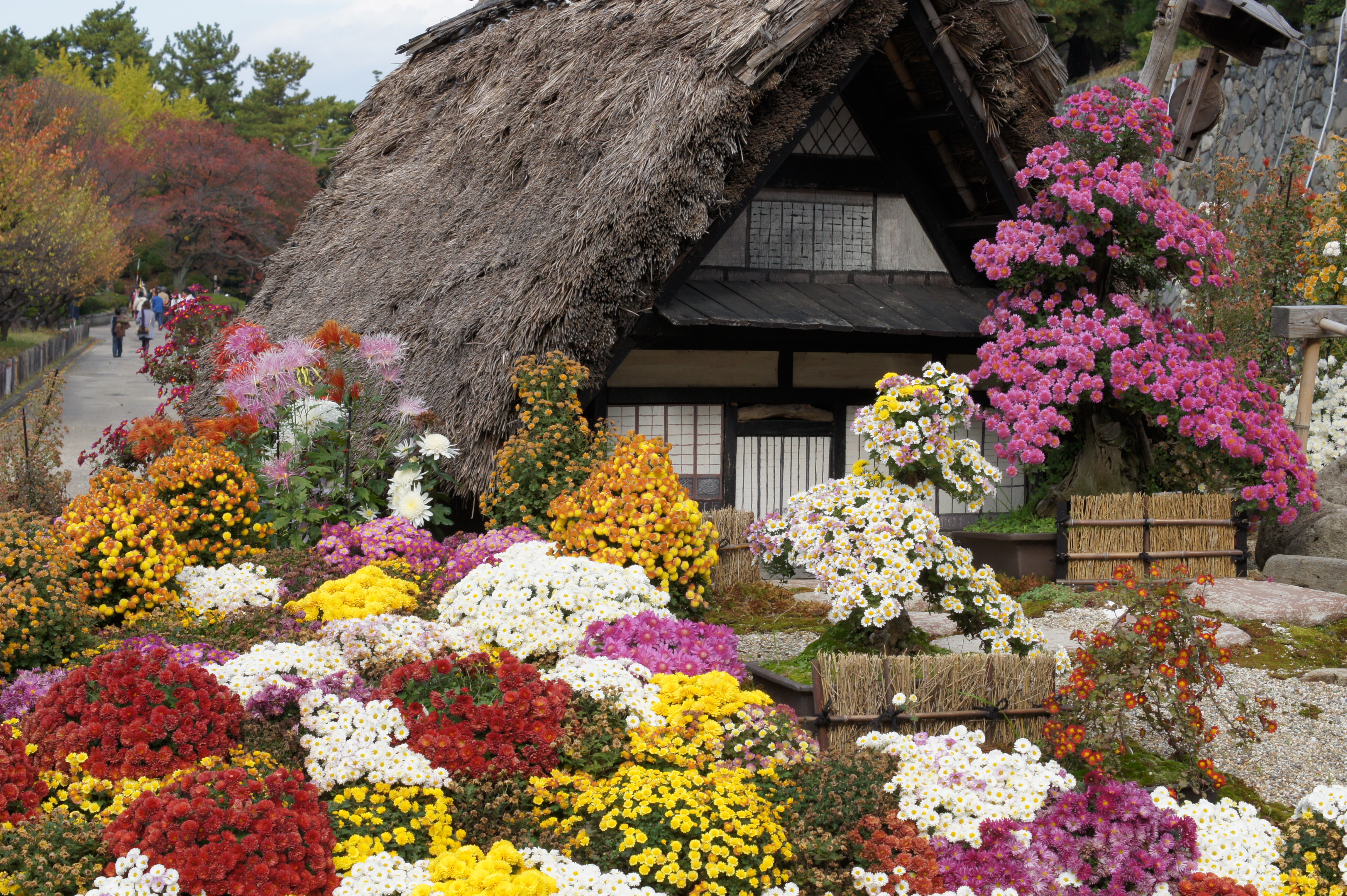 <b>α550 / DT 50mm F1.8 SAM / 約8.4MB / 4,592×3,056 / 1/160秒 / F11 / 0EV / ISO200 / 50mm</b>