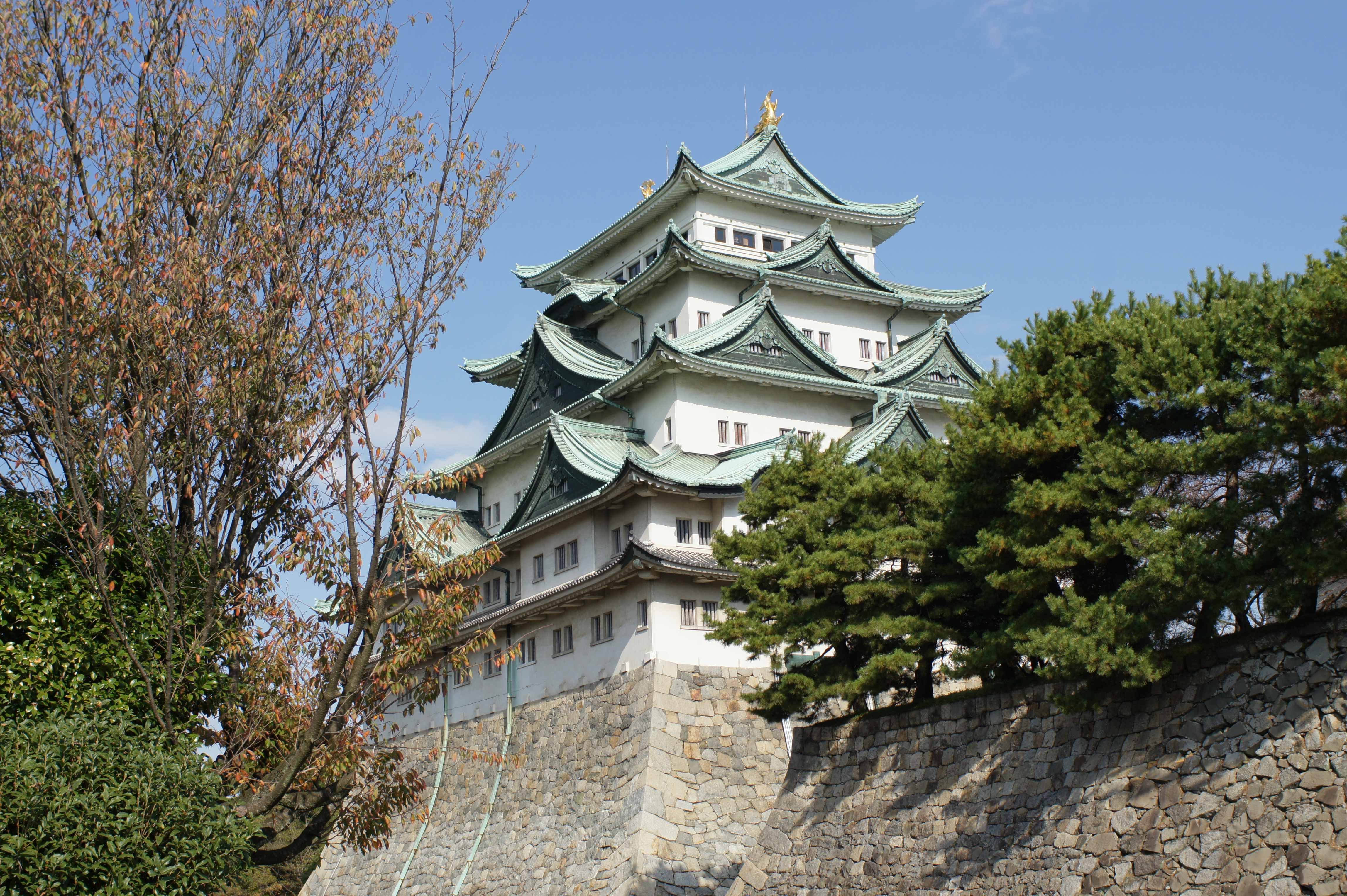 <b>α550 / DT 30mm F2.8 Macro SAM / 約7.5MB / 4,592×3,056 / 1/500秒 / F8 / 0EV / ISO200 / 30mm</b>